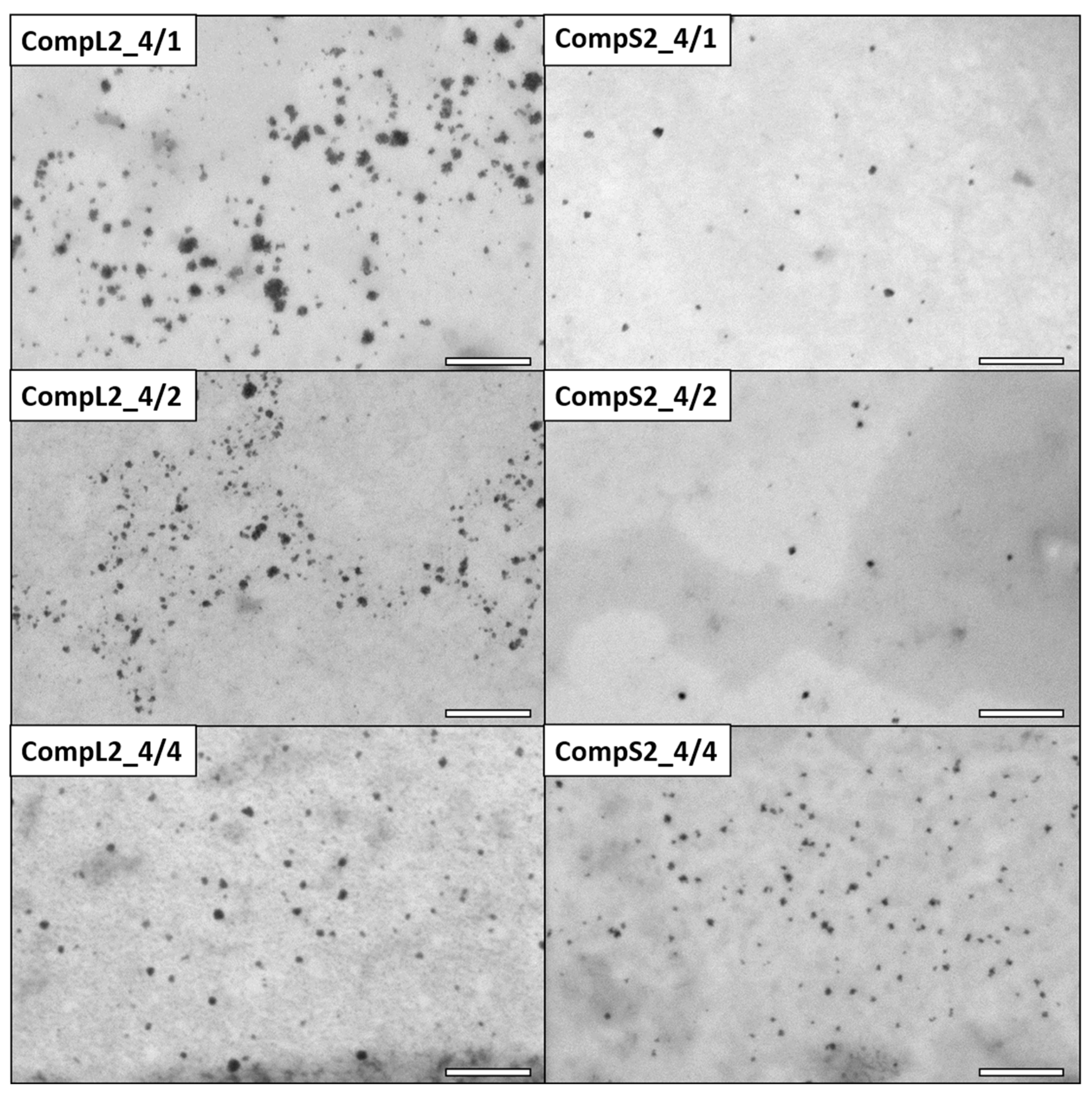 Nanomaterials 15 00350 g004