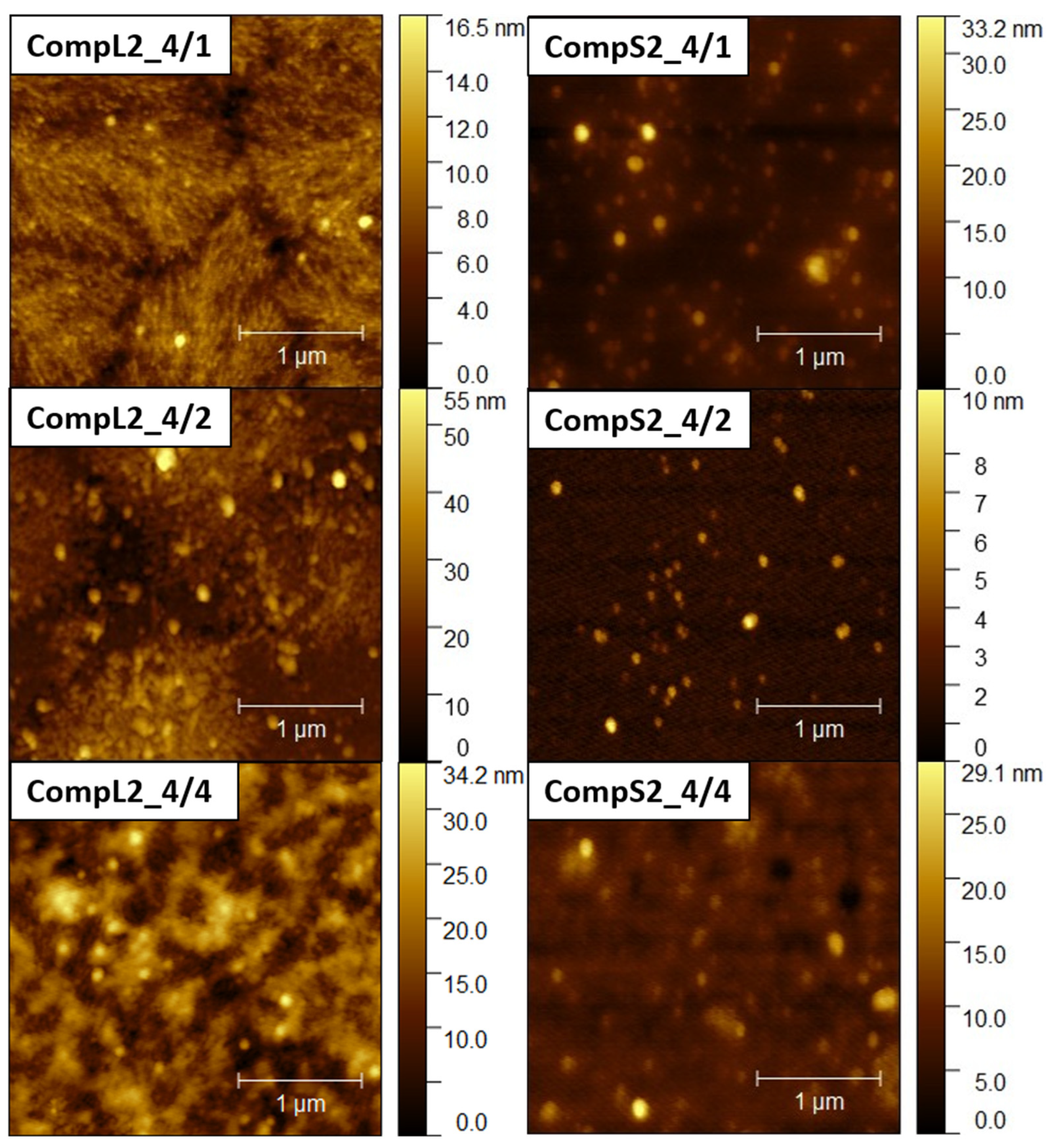 Nanomaterials 15 00350 g006