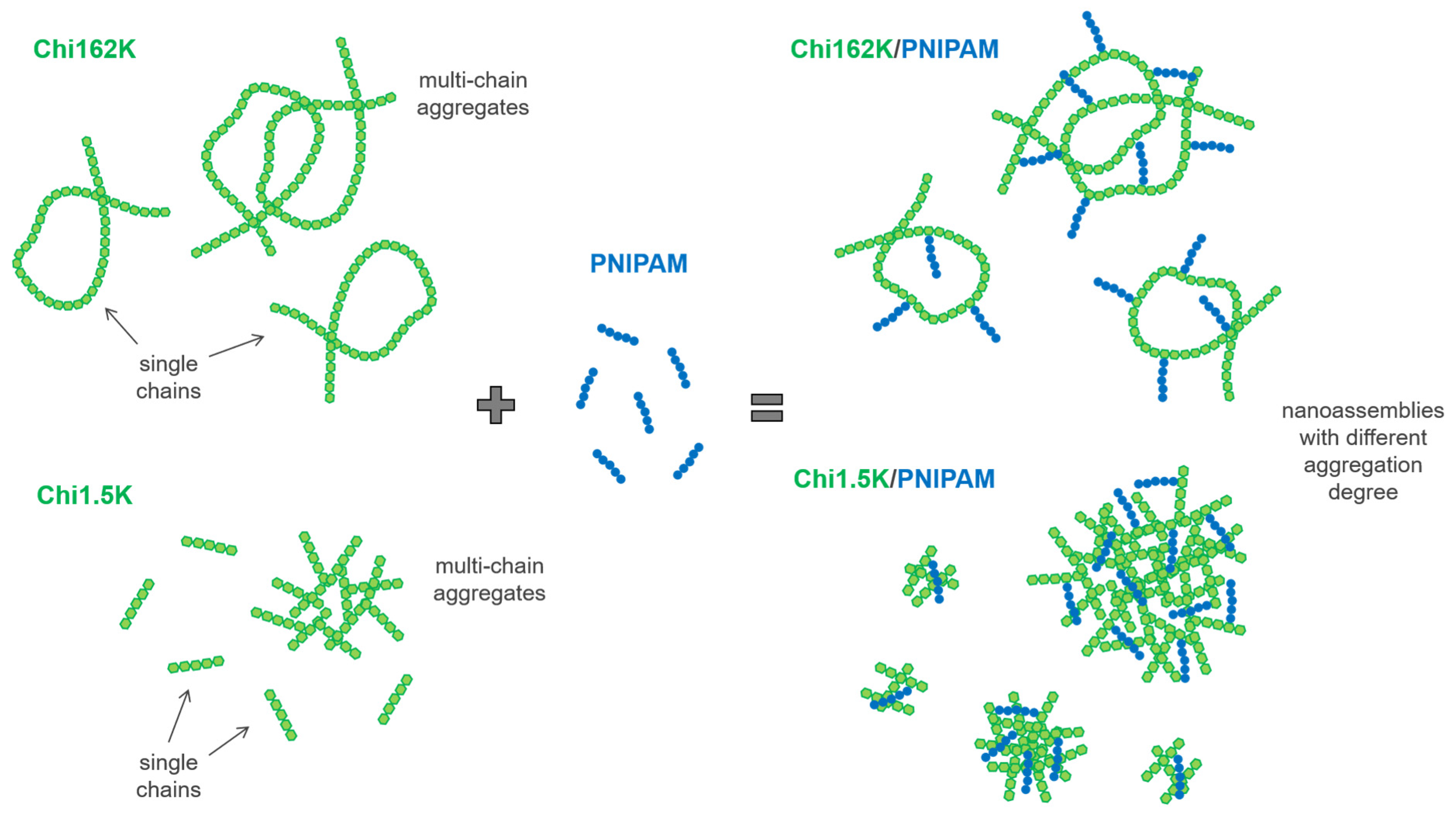Nanomaterials 15 00350 sch001