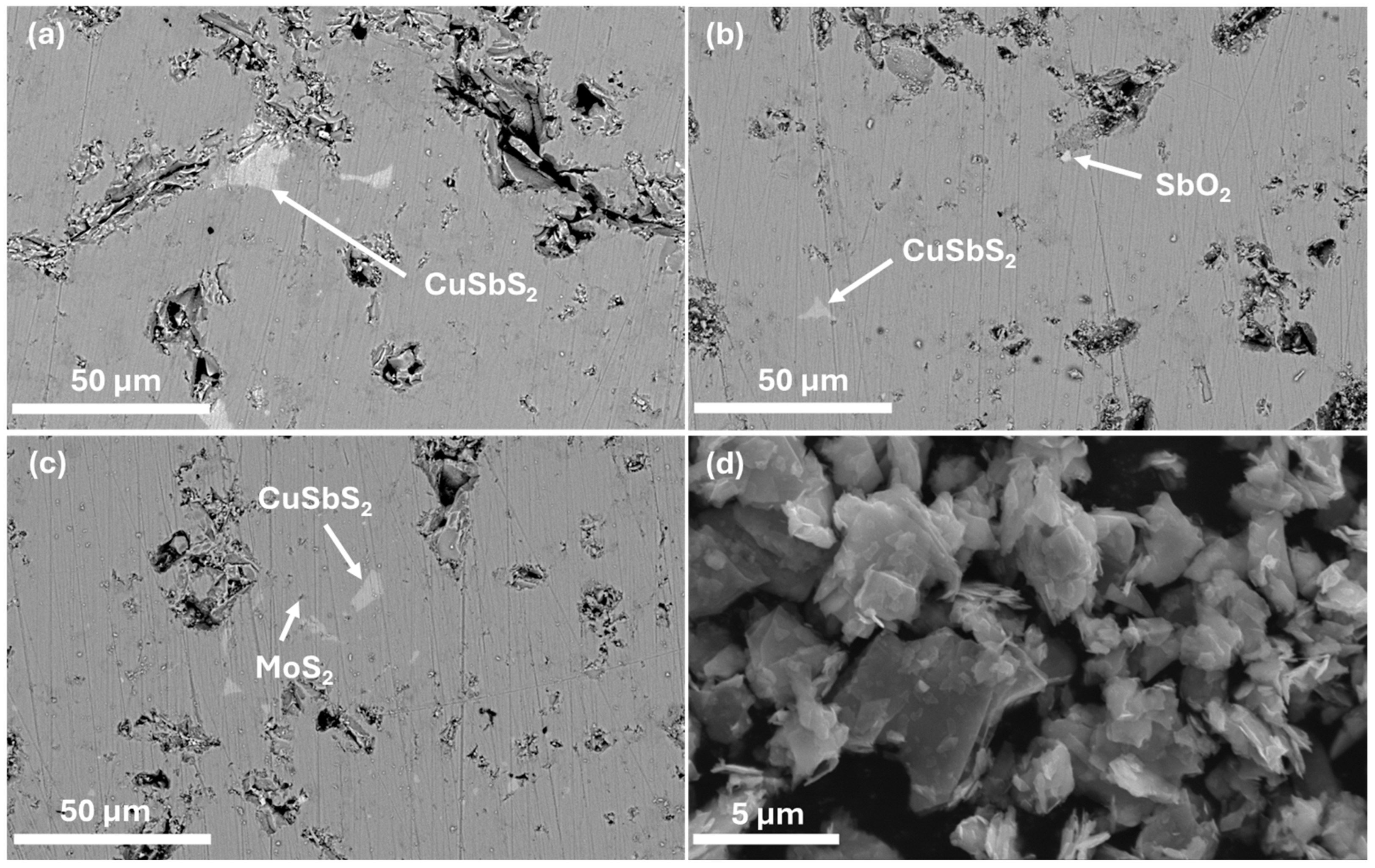 Nanomaterials 15 00351 g003