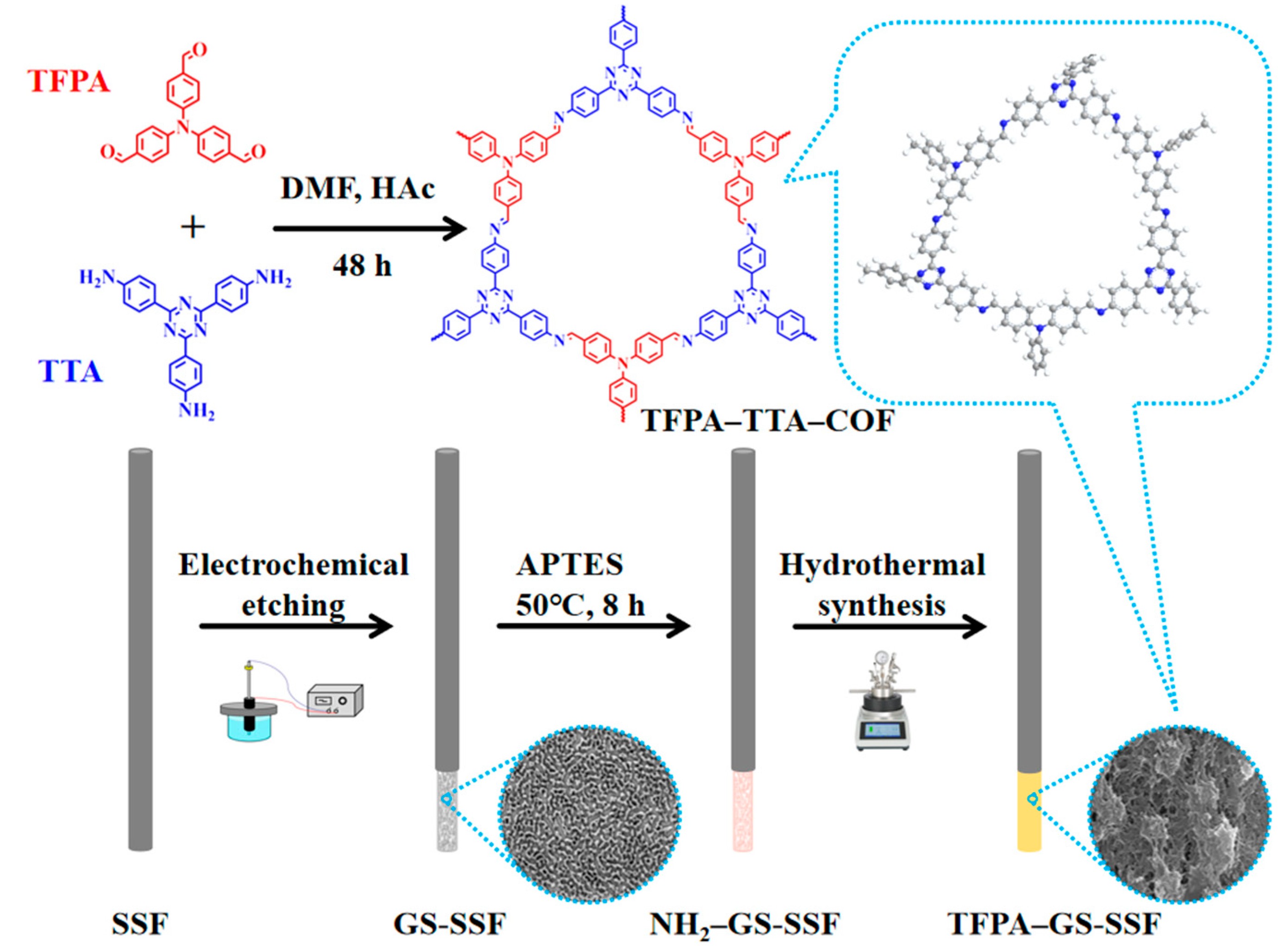 Nanomaterials 15 00354 g001