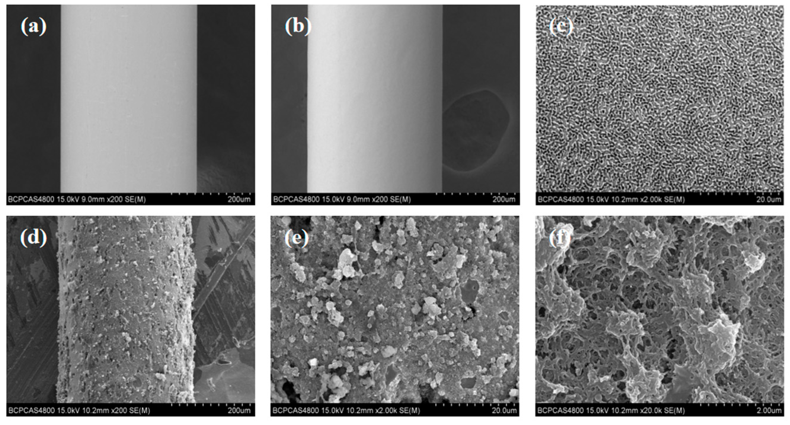 Nanomaterials 15 00354 g004