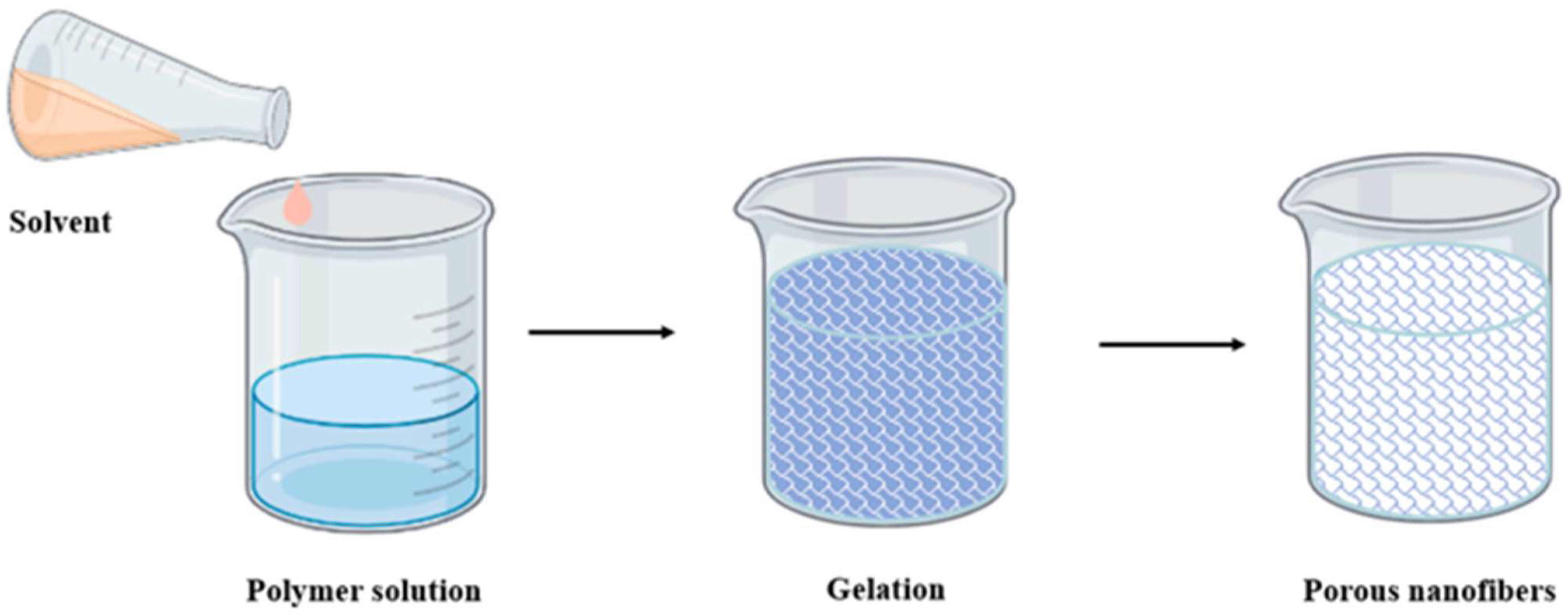 Nanomaterials 15 00356 g002