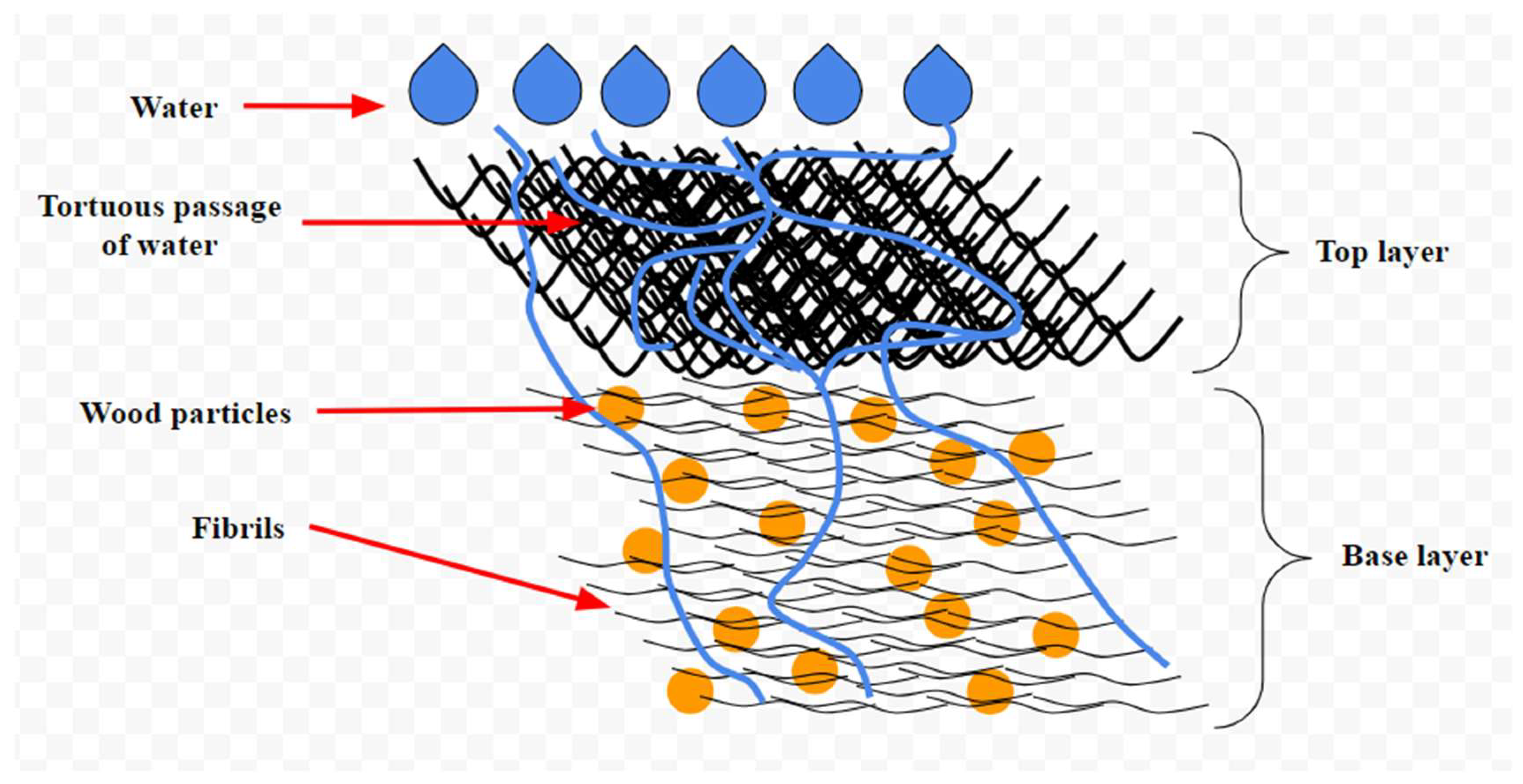 Nanomaterials 15 00356 g003