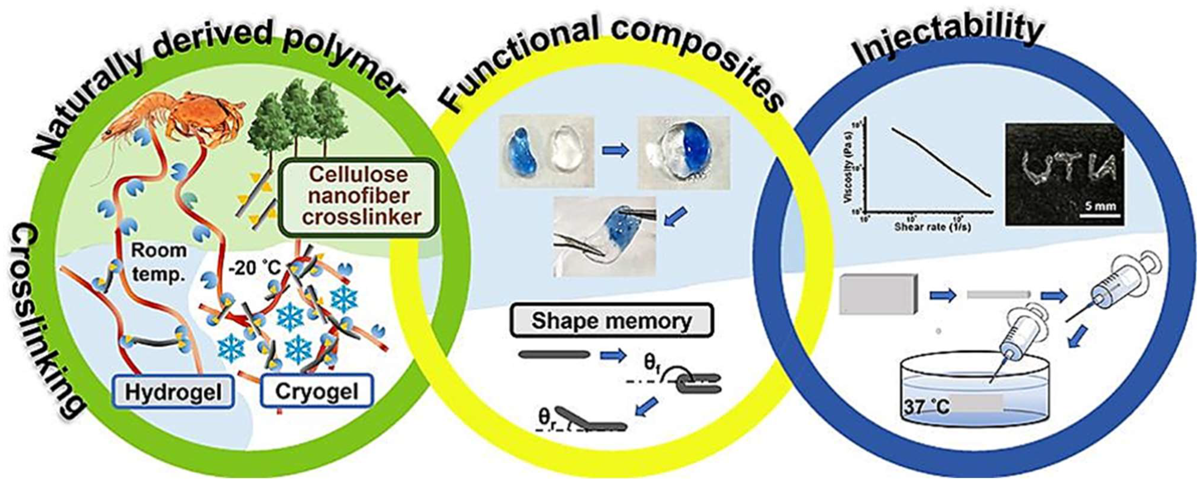 Nanomaterials 15 00356 g004