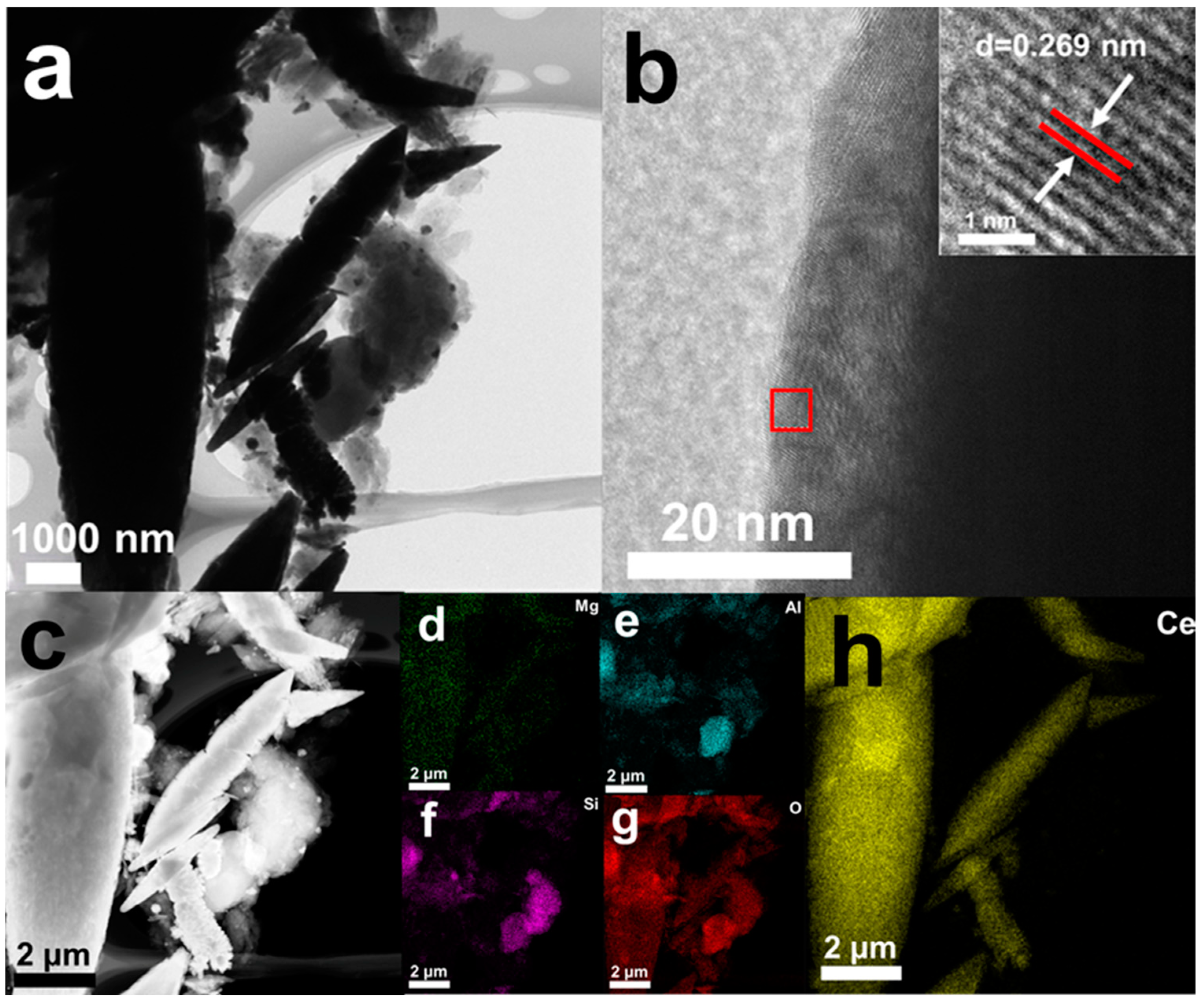 Nanomaterials 15 00357 g004