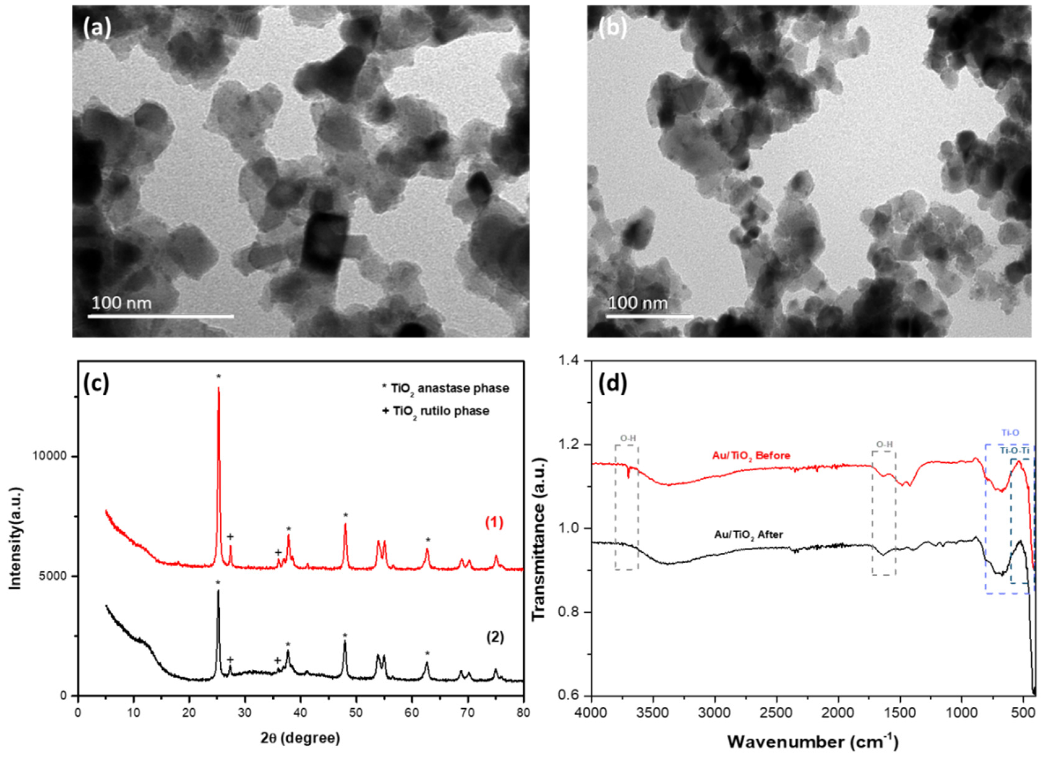 Nanomaterials 15 00358 g002