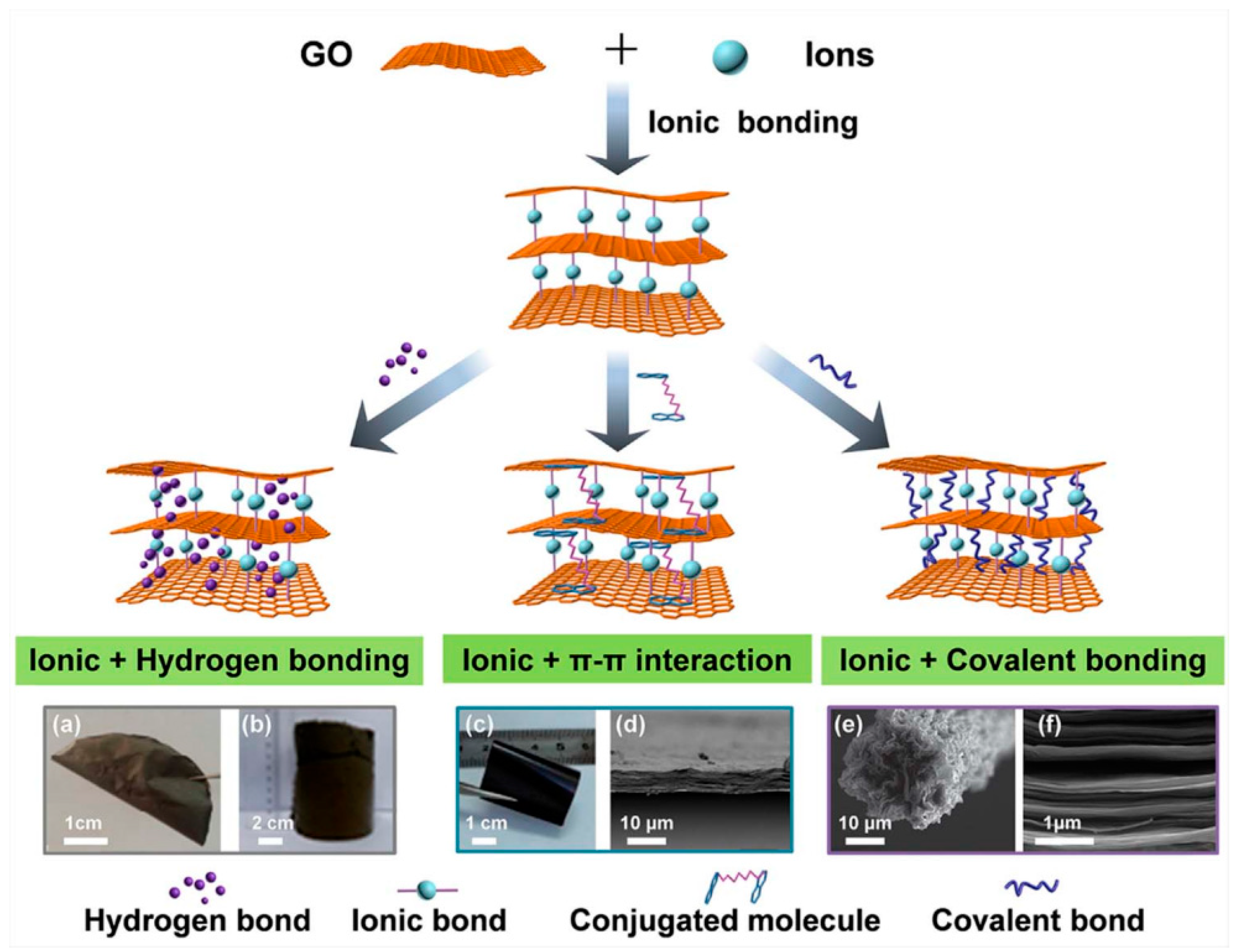 Nanomaterials 15 00359 g006