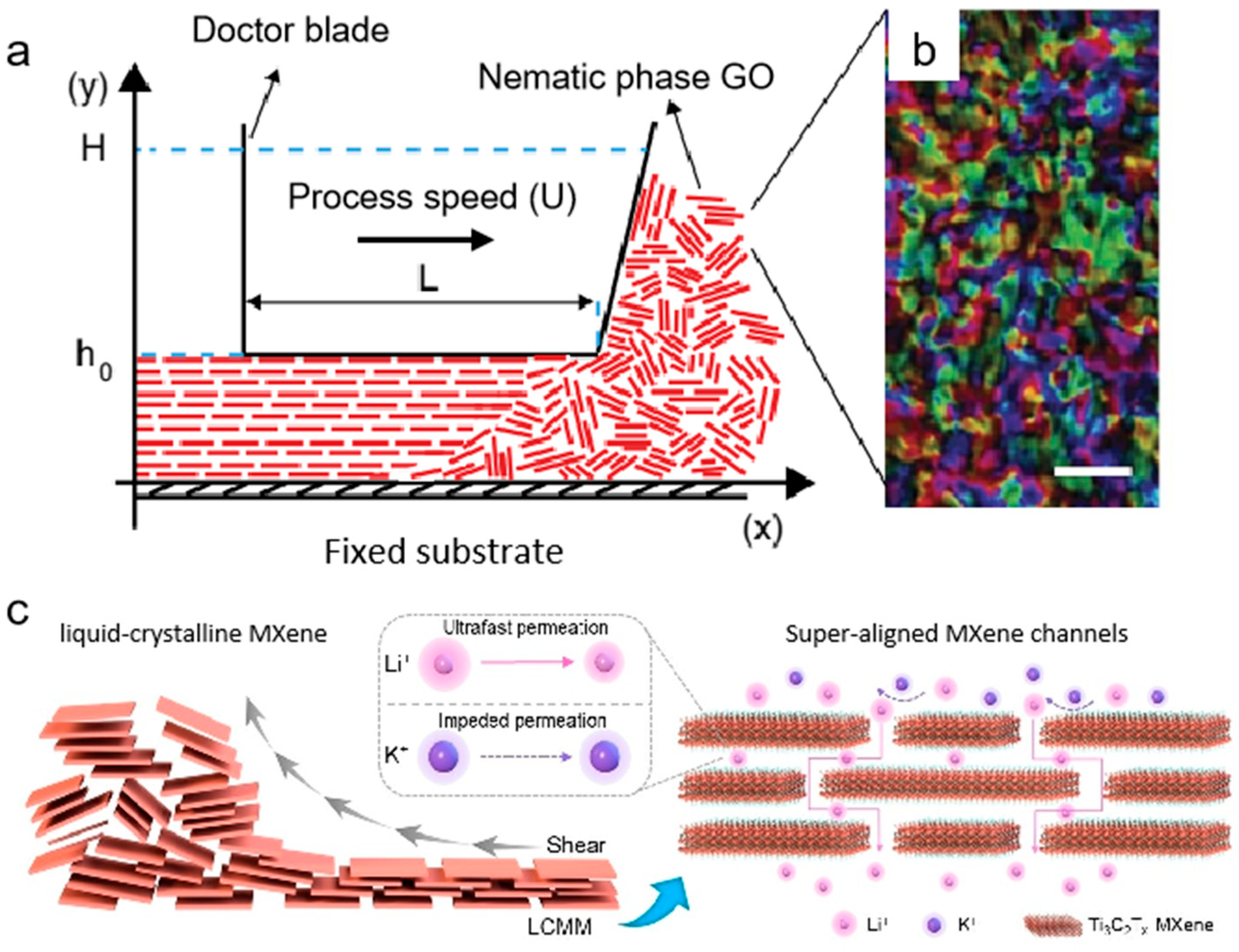 Nanomaterials 15 00359 g007