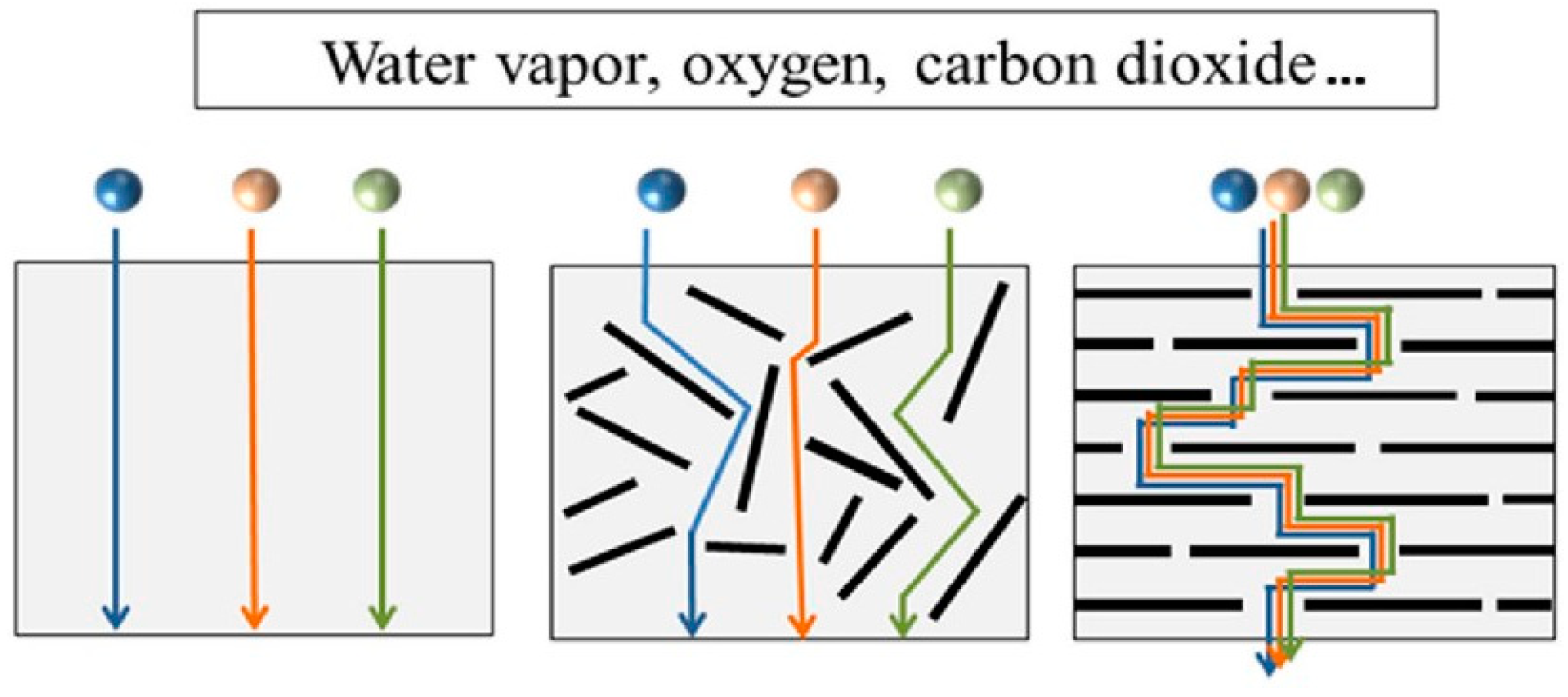Nanomaterials 15 00359 g008