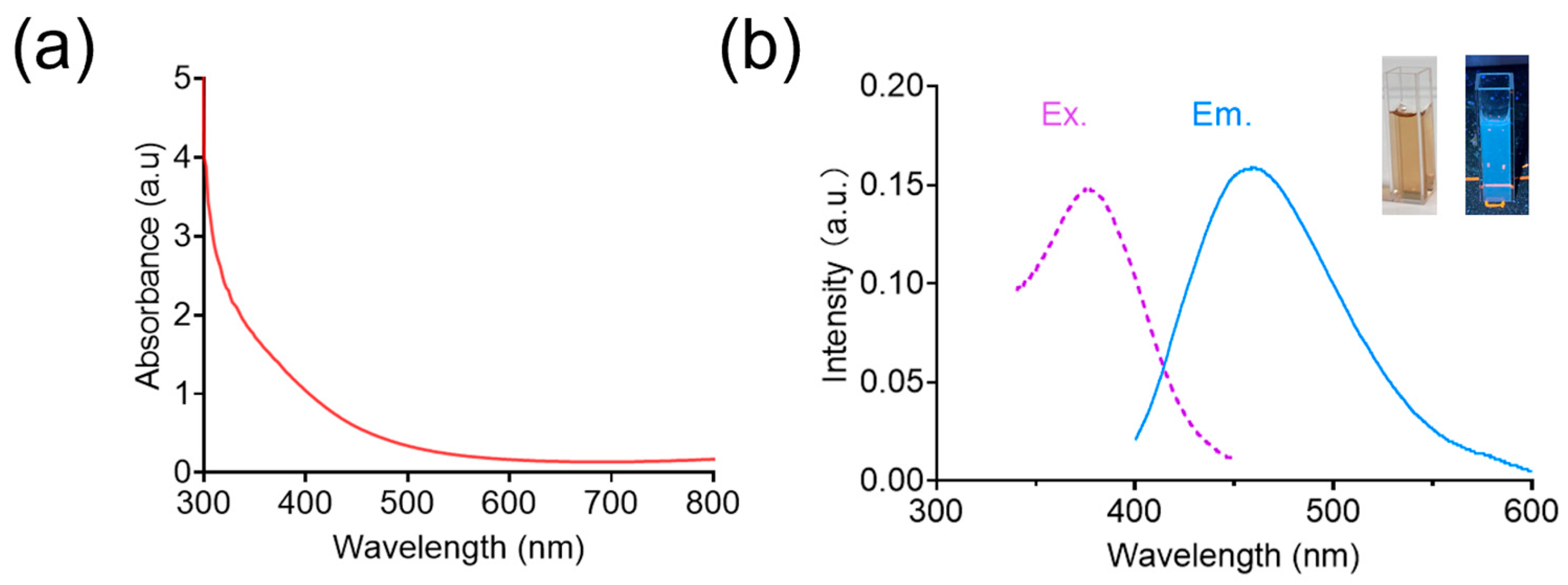 Nanomaterials 15 00360 g002