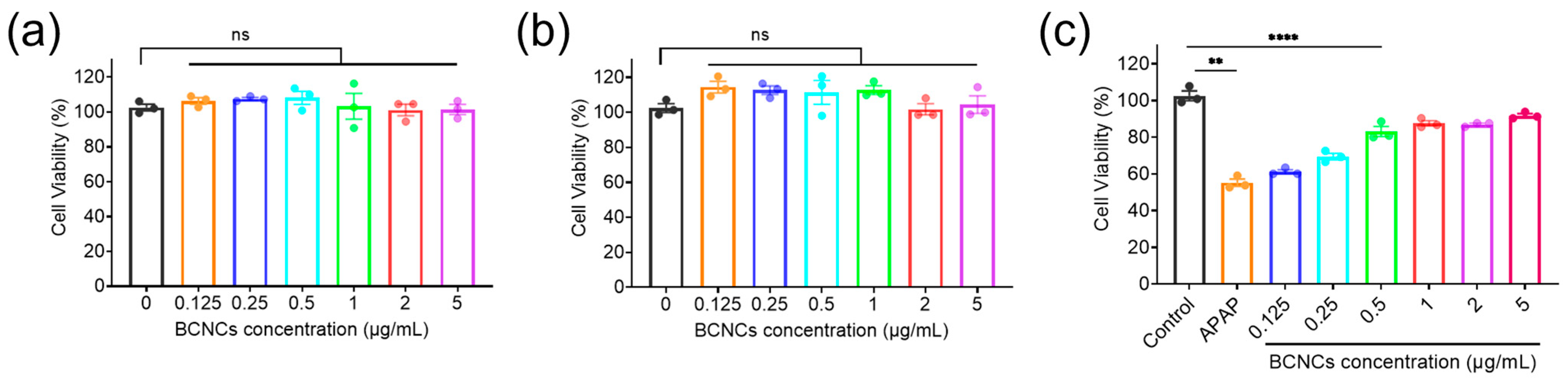 Nanomaterials 15 00360 g005