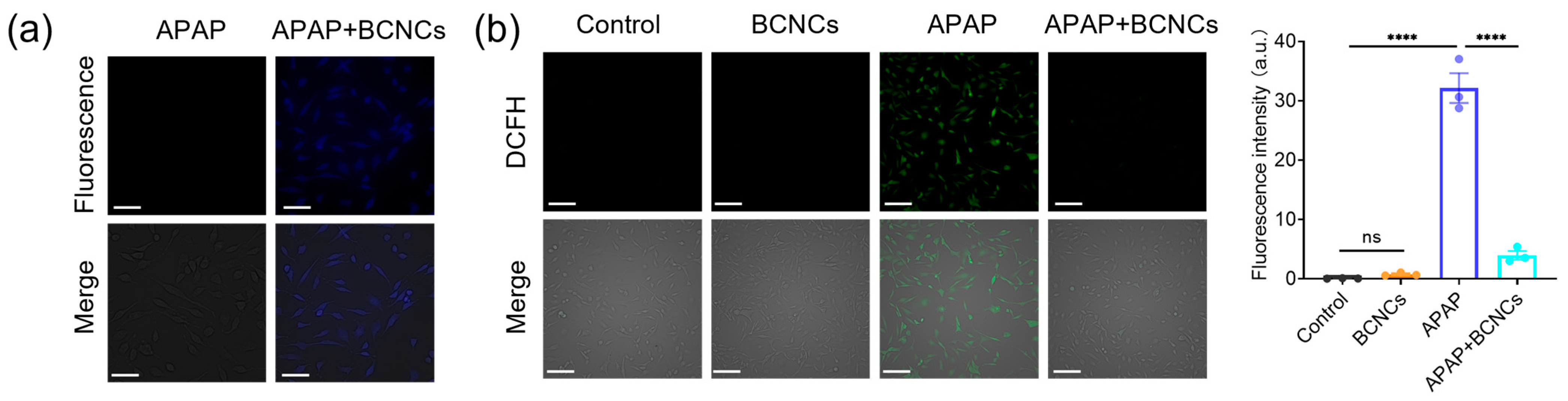 Nanomaterials 15 00360 g006