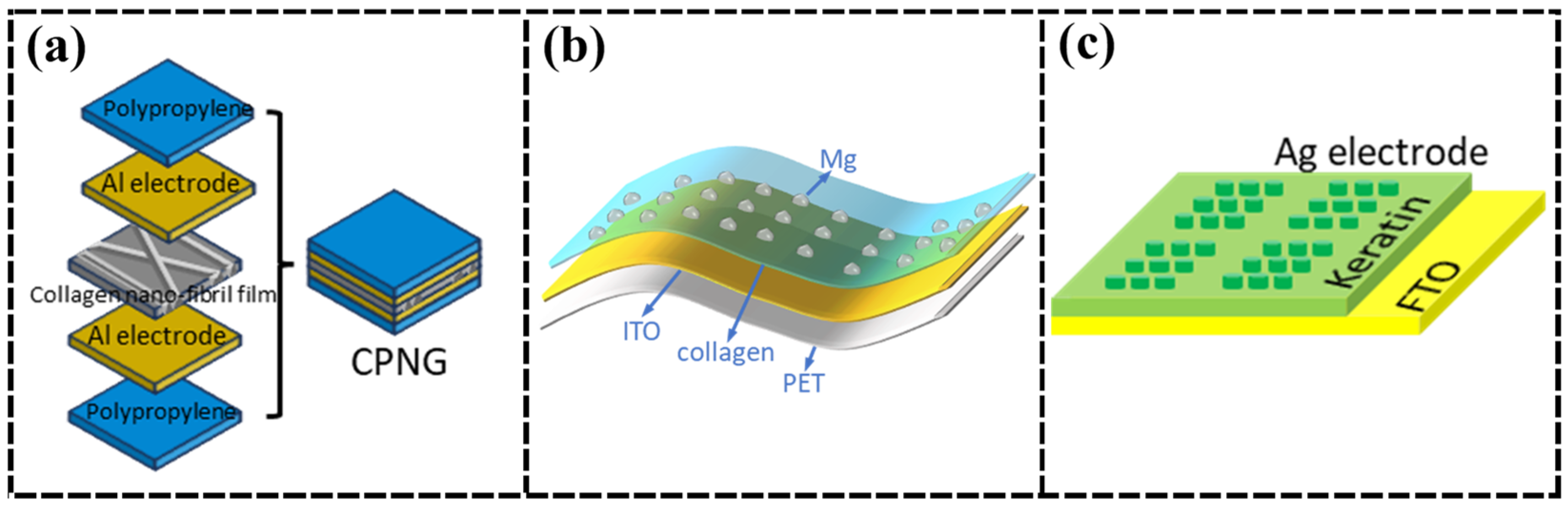 Nanomaterials 15 00367 g002
