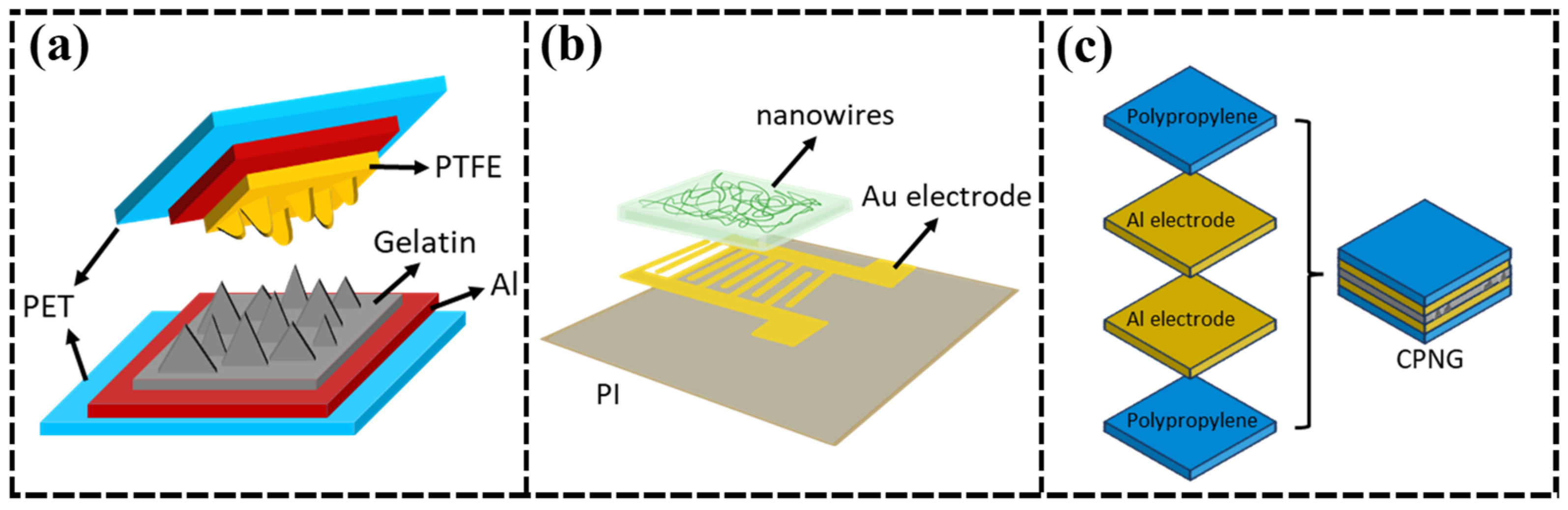 Nanomaterials 15 00367 g005