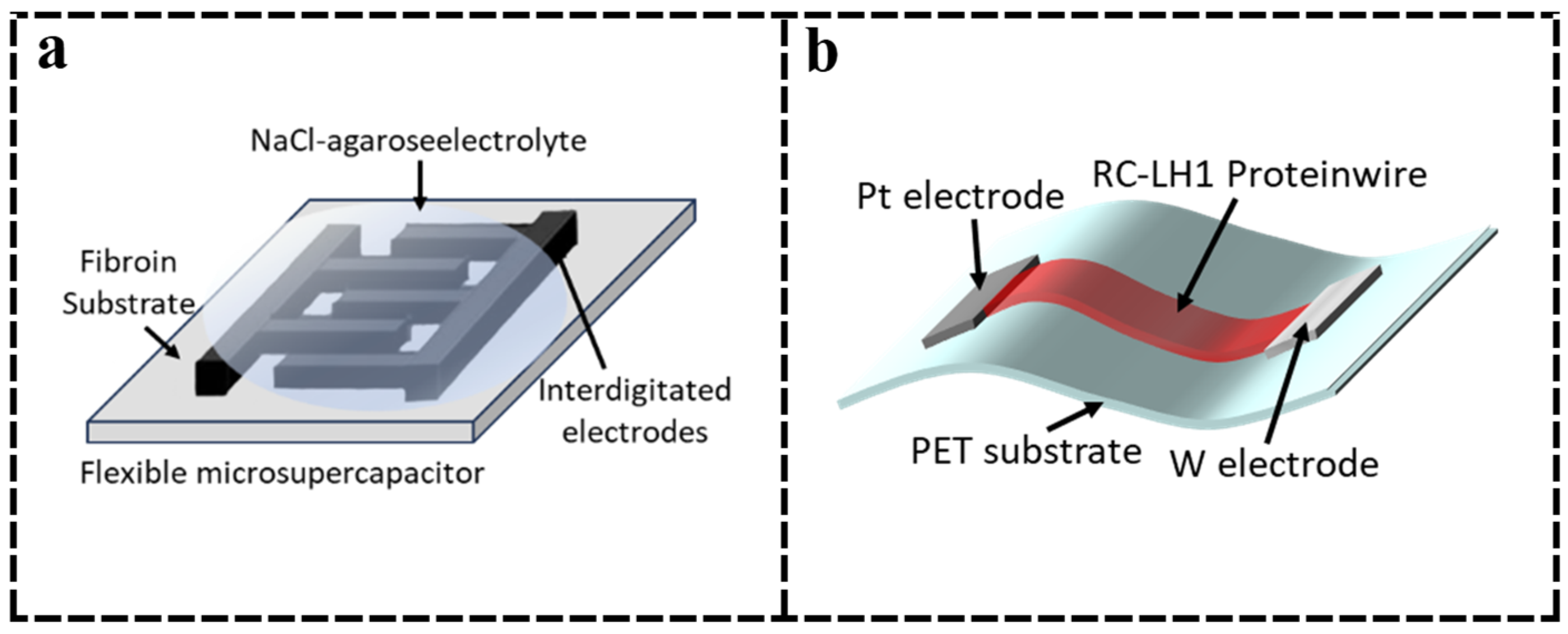 Nanomaterials 15 00367 g006