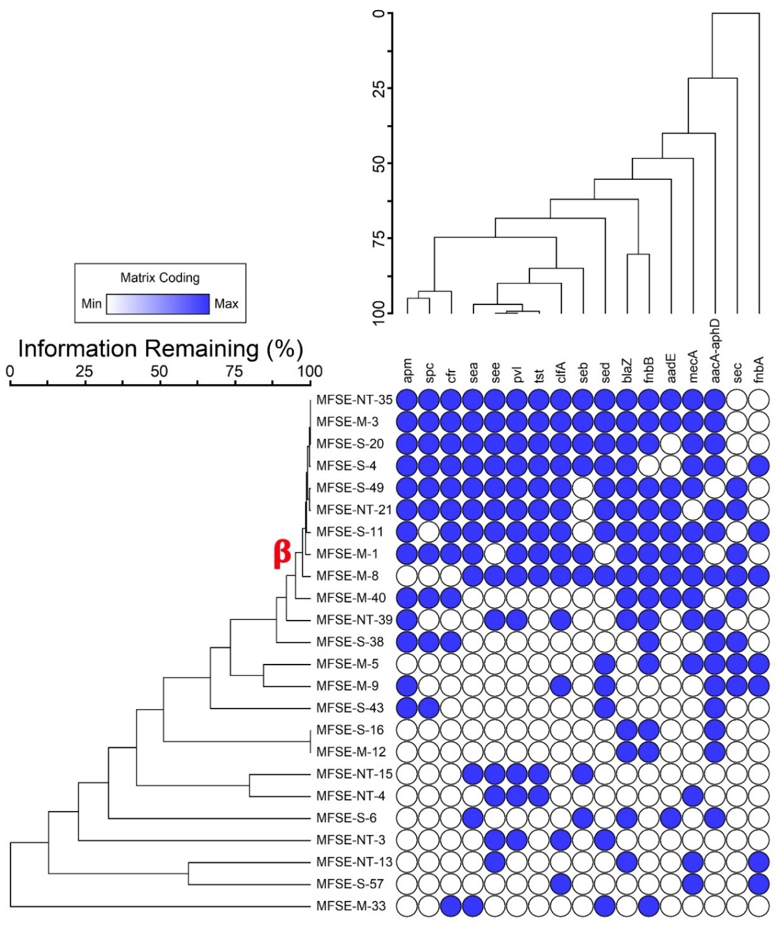 Nanomaterials 15 00369 g002