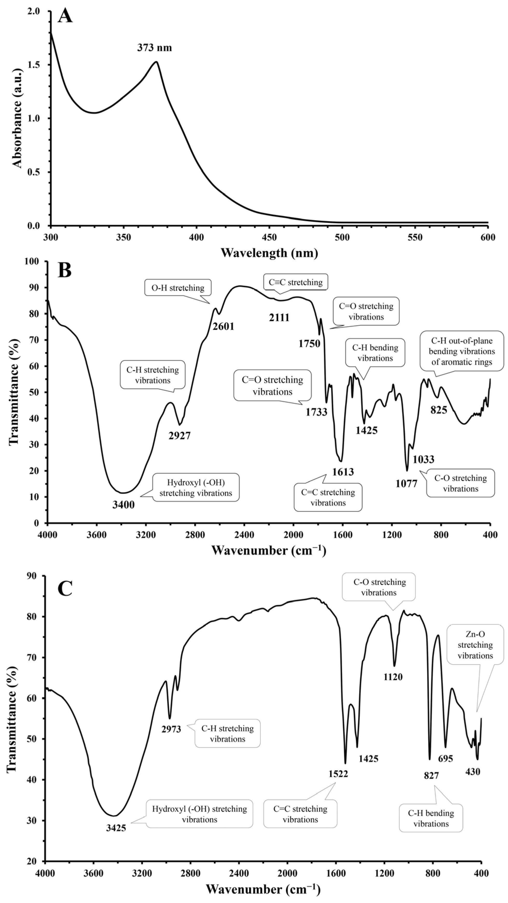 Nanomaterials 15 00369 g003