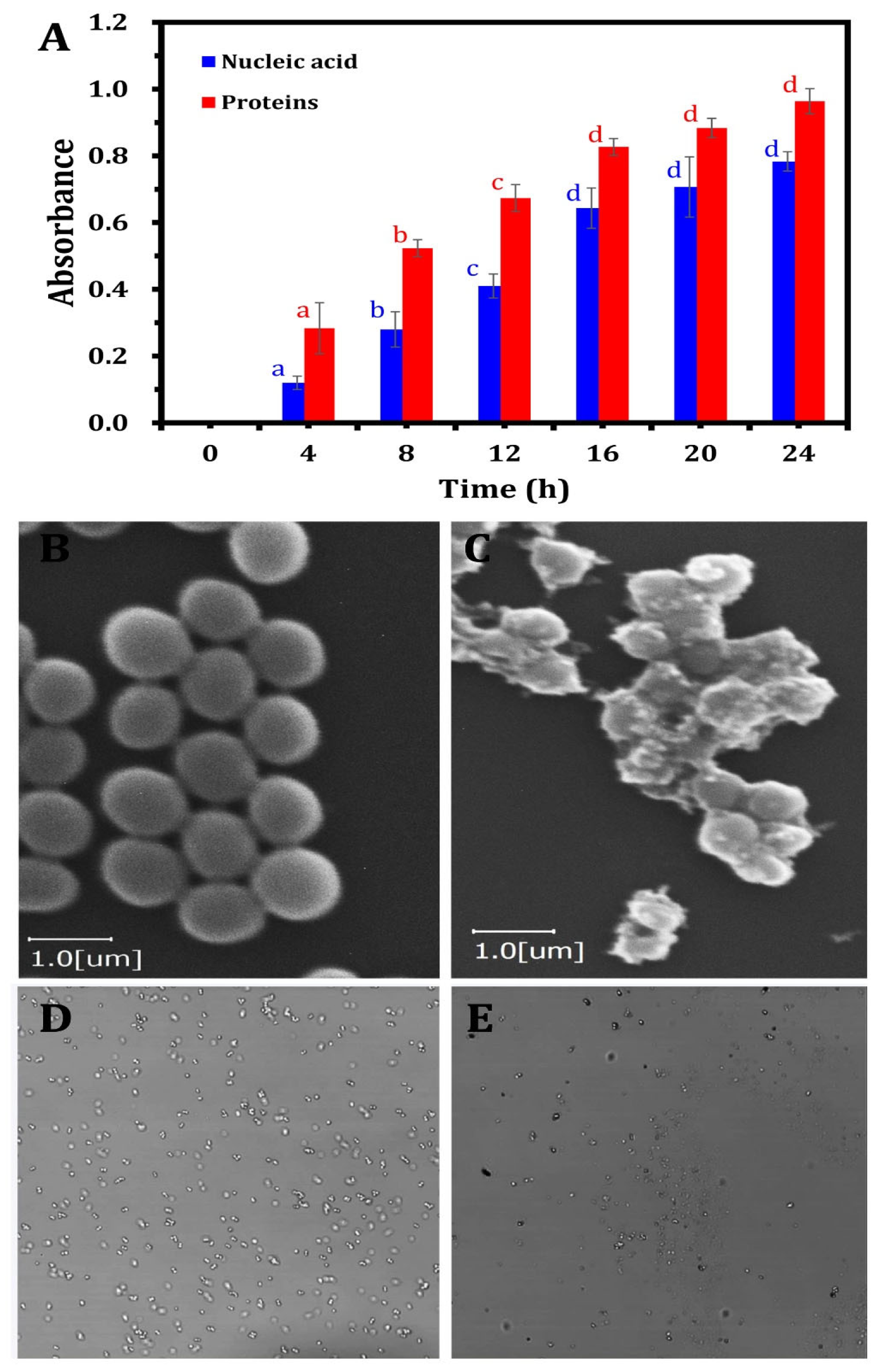 Nanomaterials 15 00369 g005
