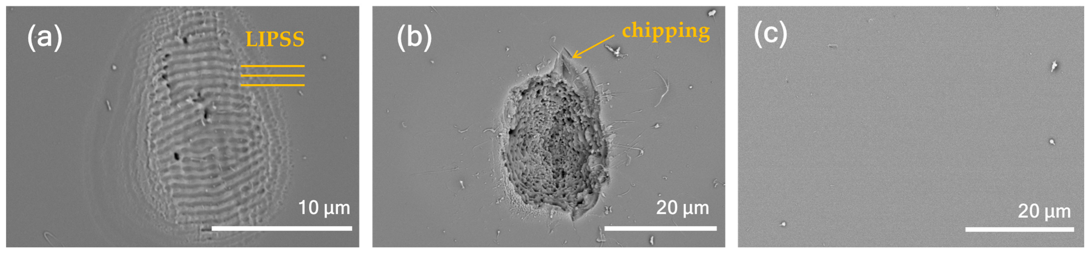 Nanomaterials 15 00377 g005