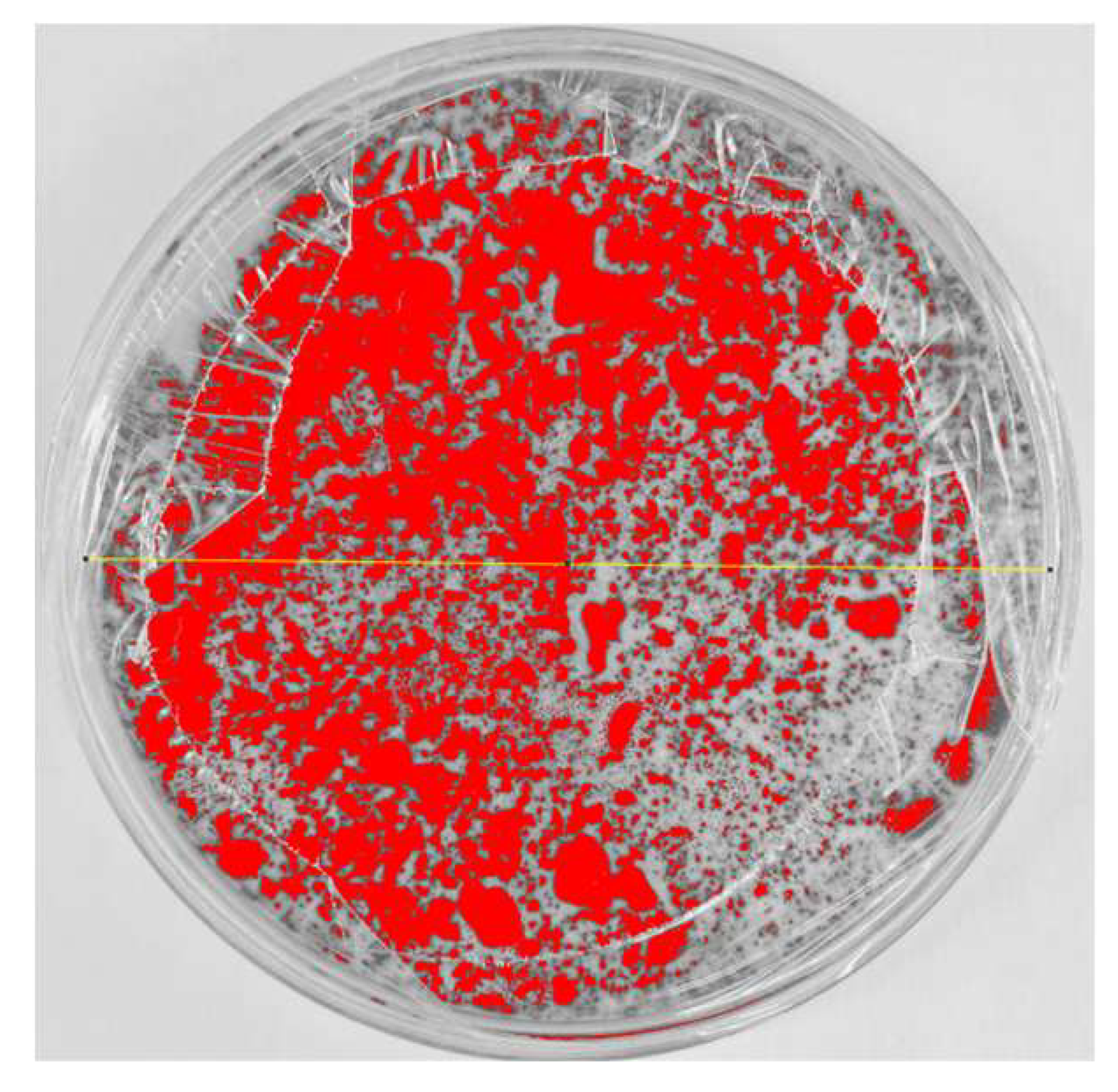 Nanomaterials 15 00379 i004