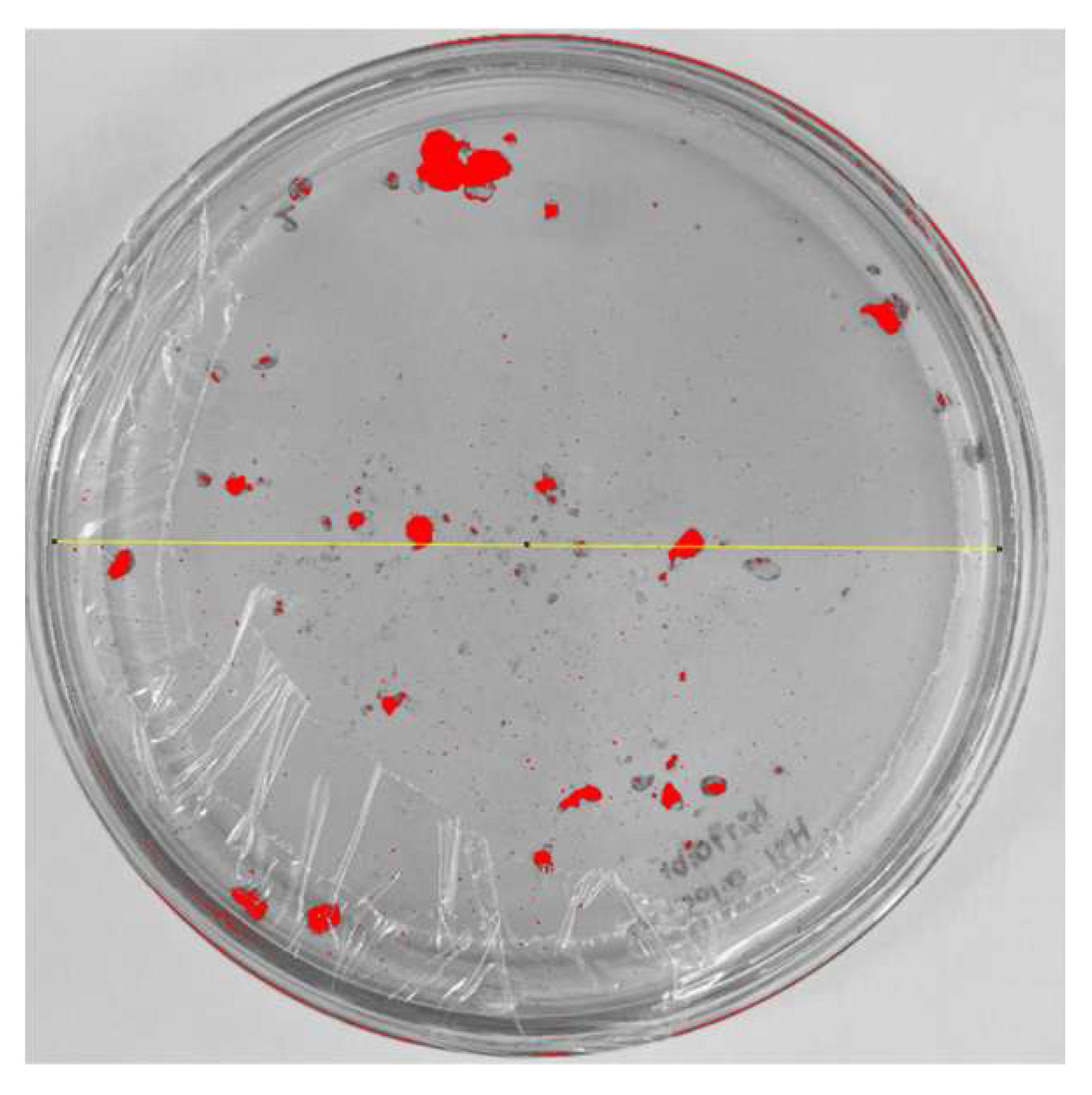 Nanomaterials 15 00379 i006