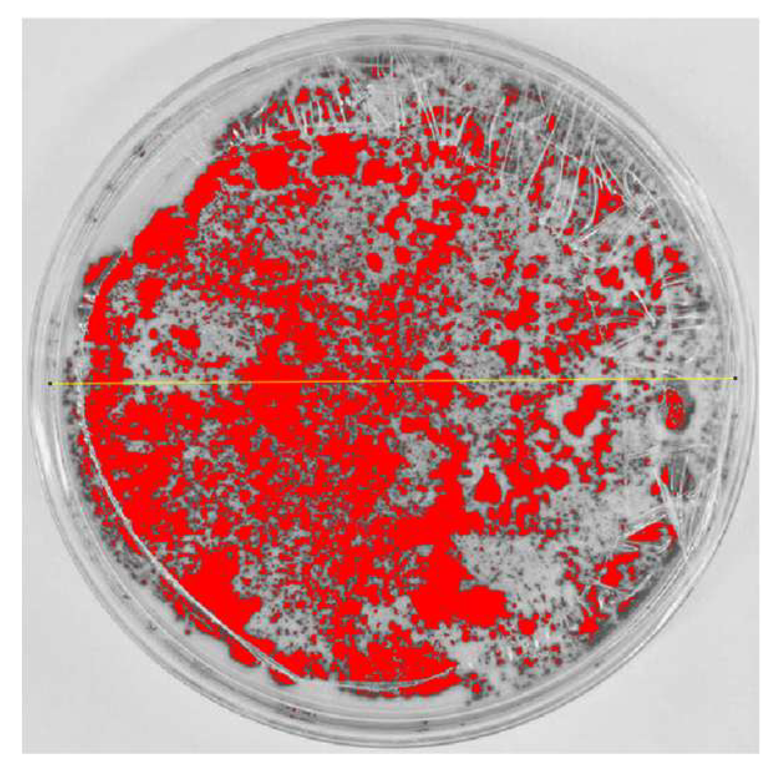 Nanomaterials 15 00379 i010