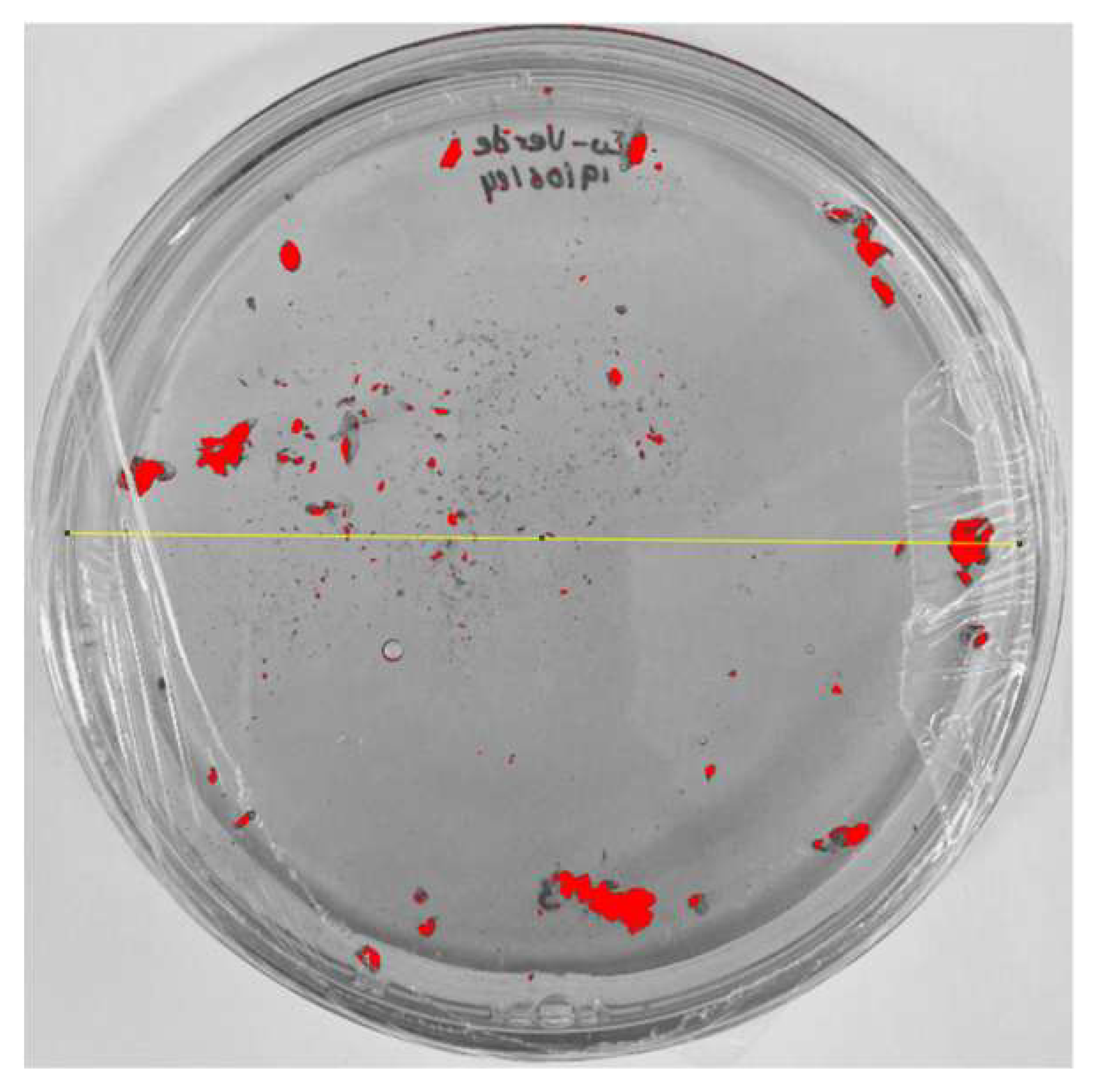 Nanomaterials 15 00379 i011