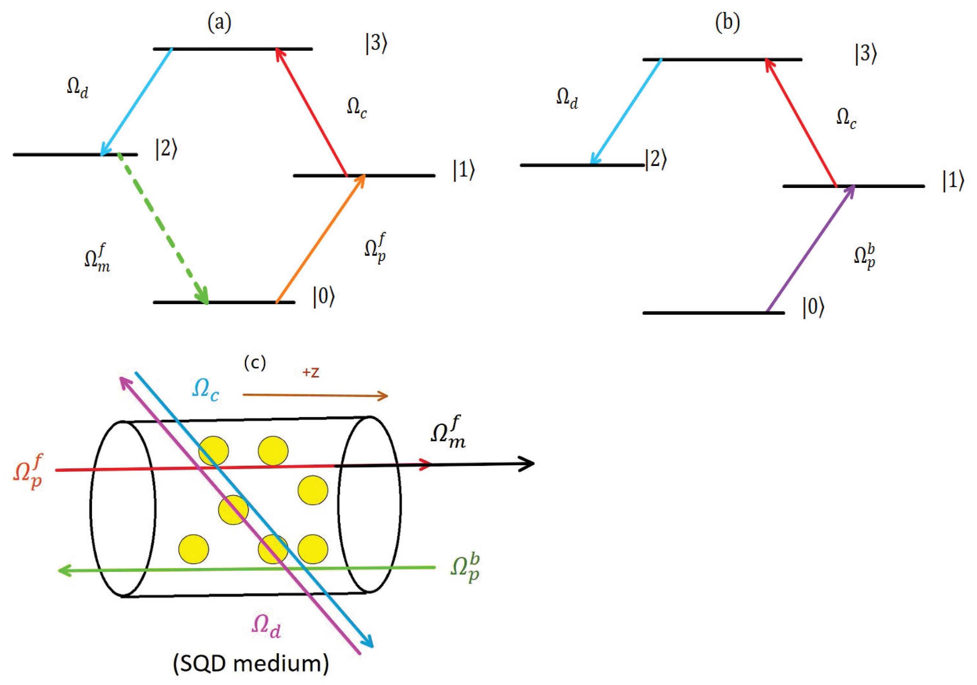 Nanomaterials 15 00380 g001