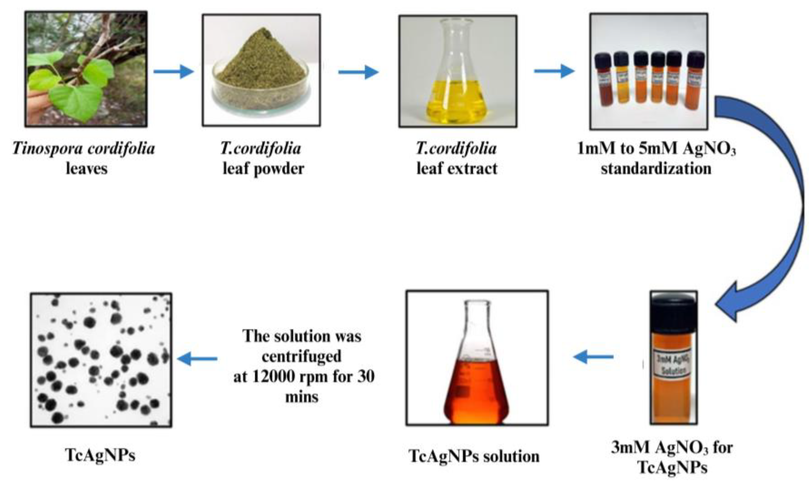Nanomaterials 15 00381 g001