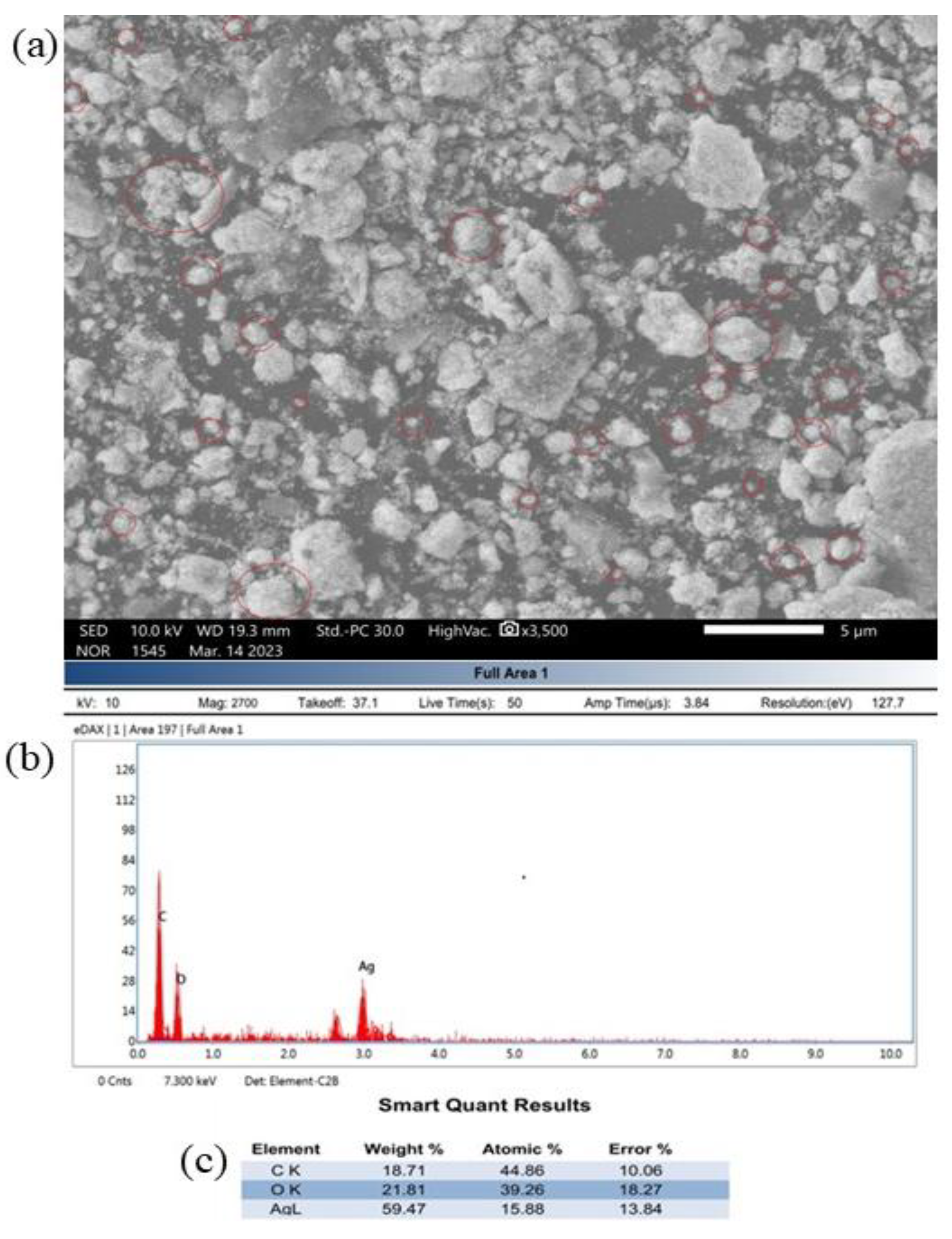 Nanomaterials 15 00381 g004