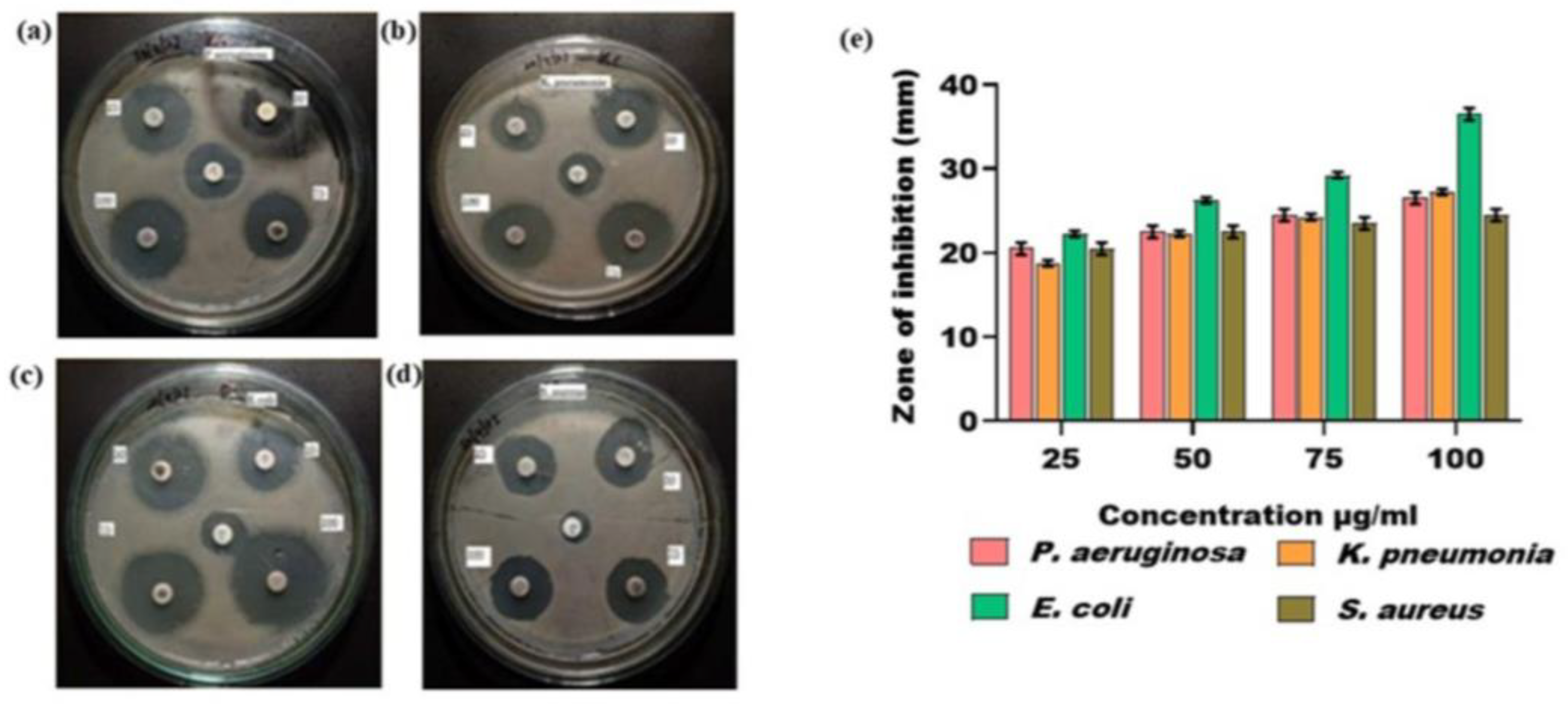 Nanomaterials 15 00381 g009