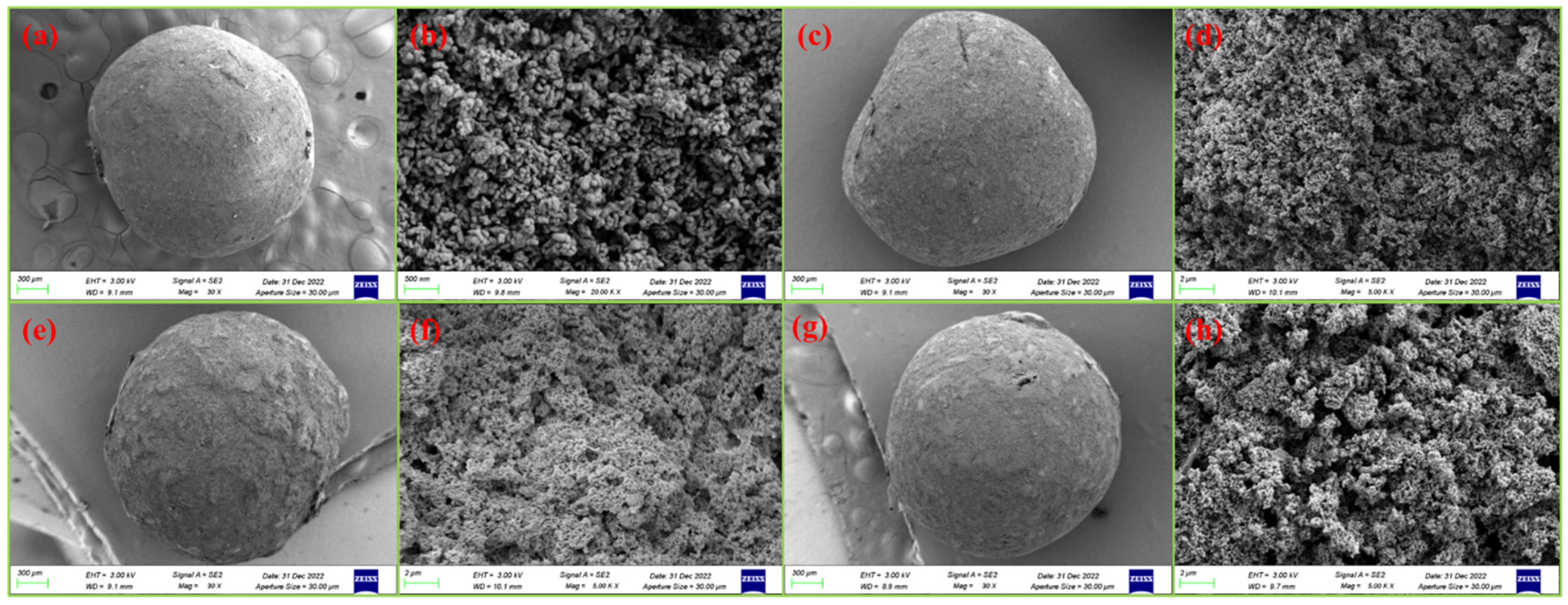 Nanomaterials 15 00383 g001