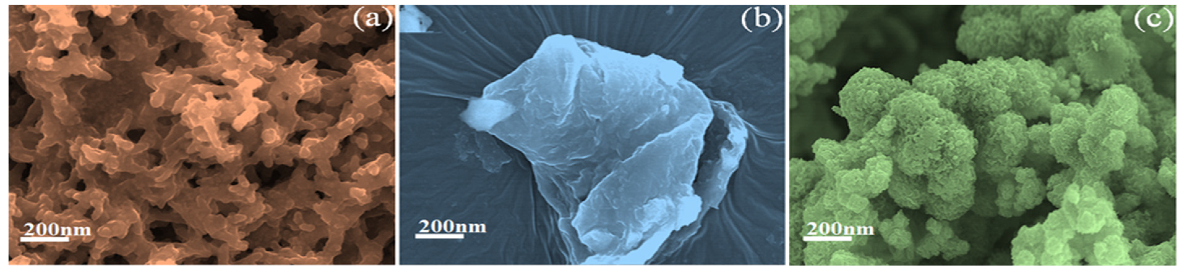 Nanomaterials 15 00384 g003