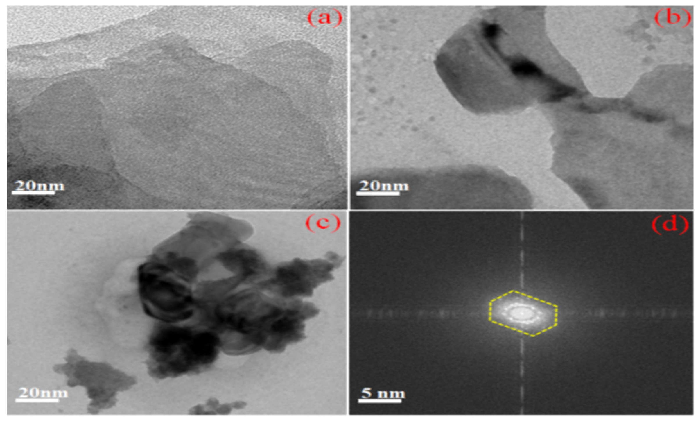 Nanomaterials 15 00384 g004