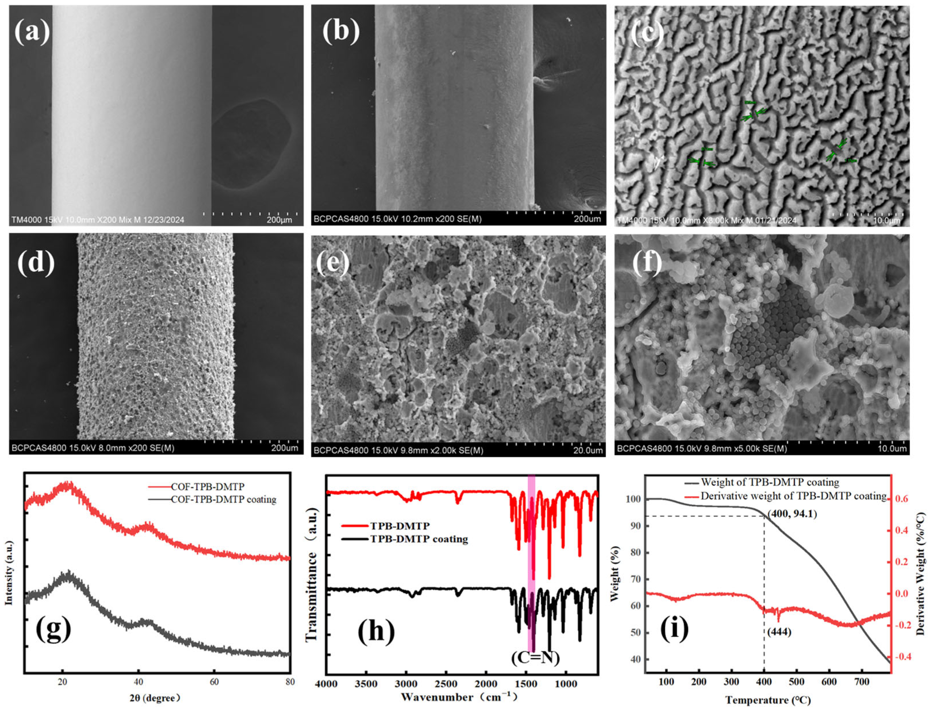 Nanomaterials 15 00385 g004