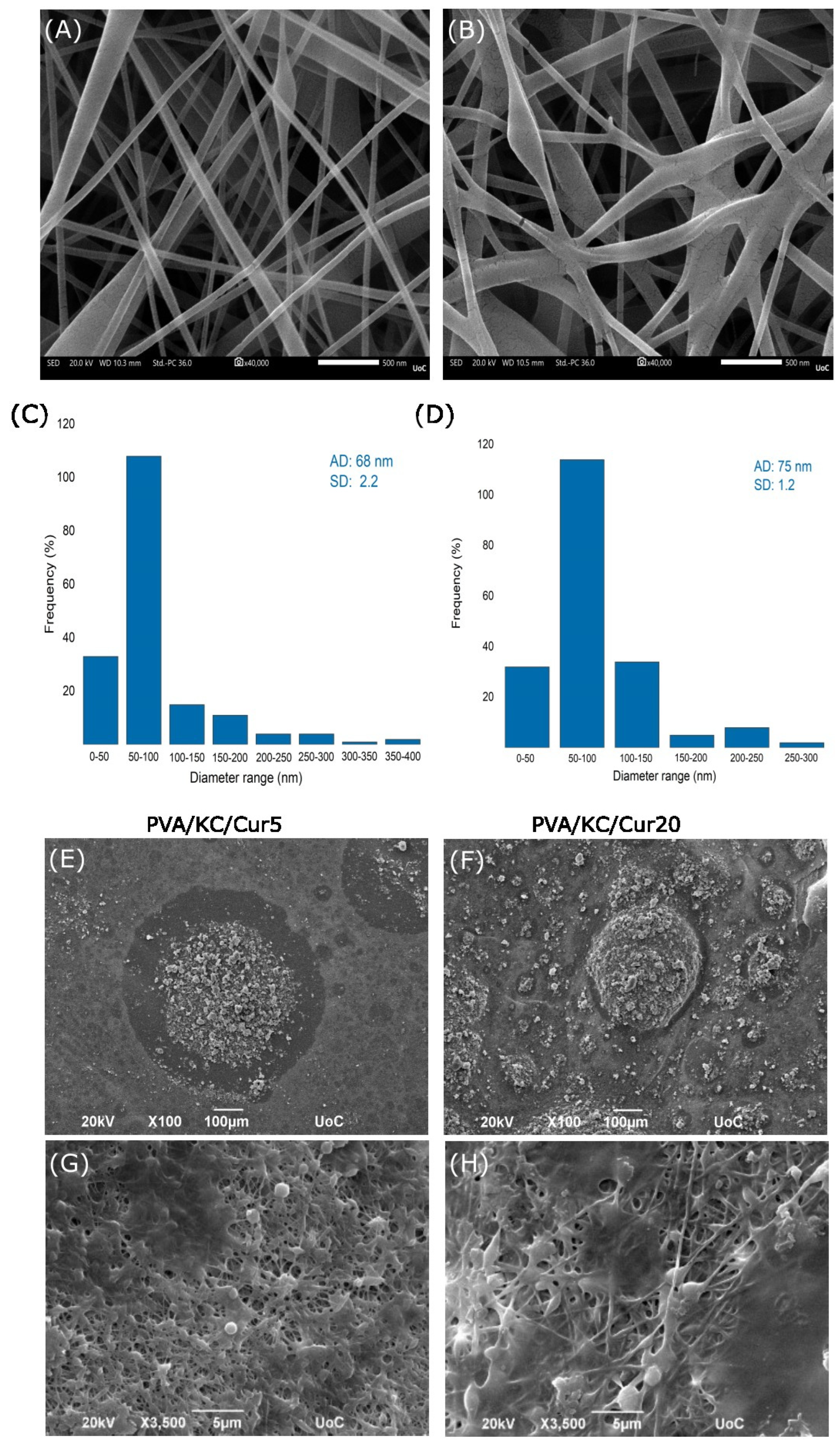 Nanomaterials 15 00388 g001
