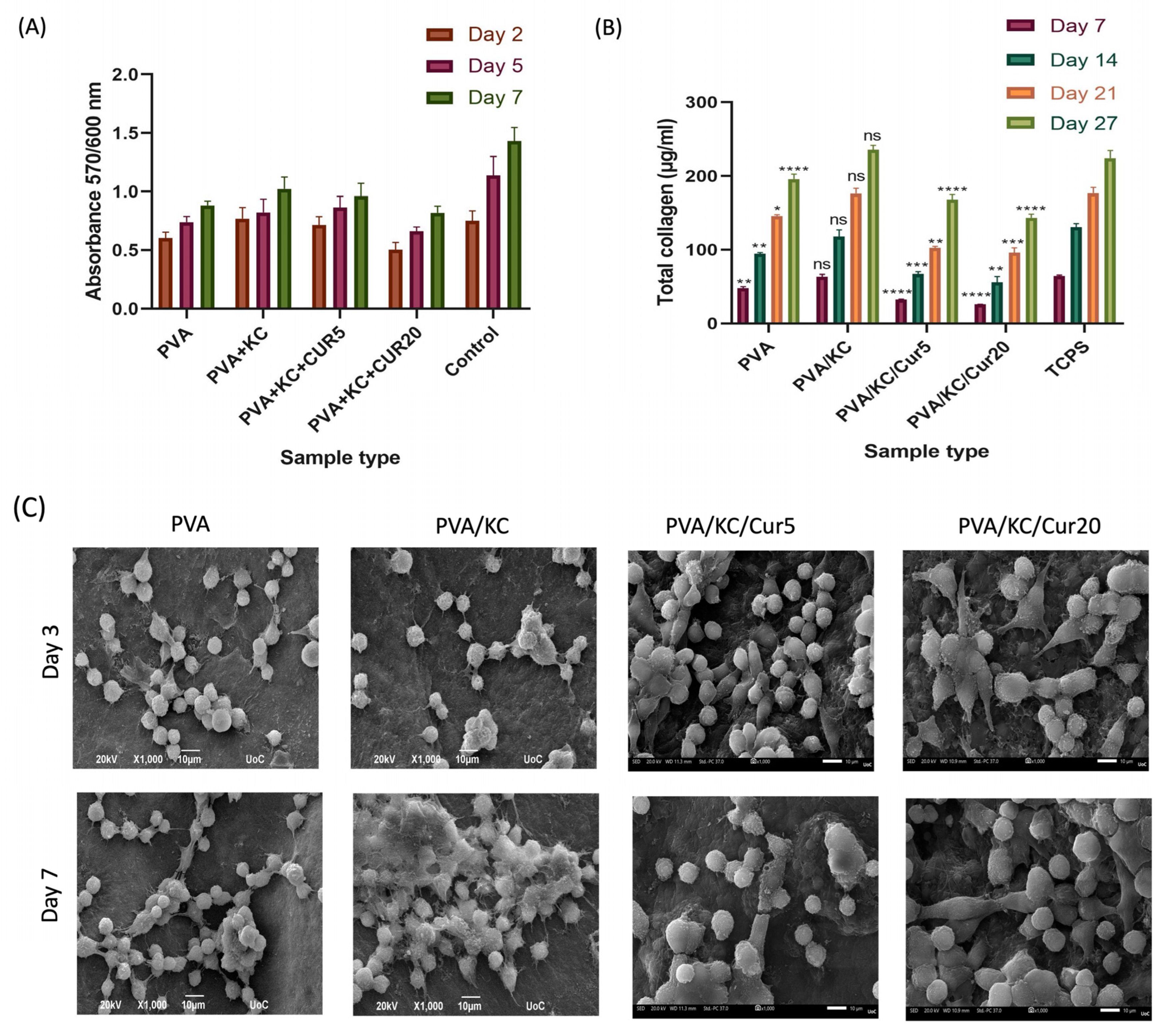 Nanomaterials 15 00388 g005