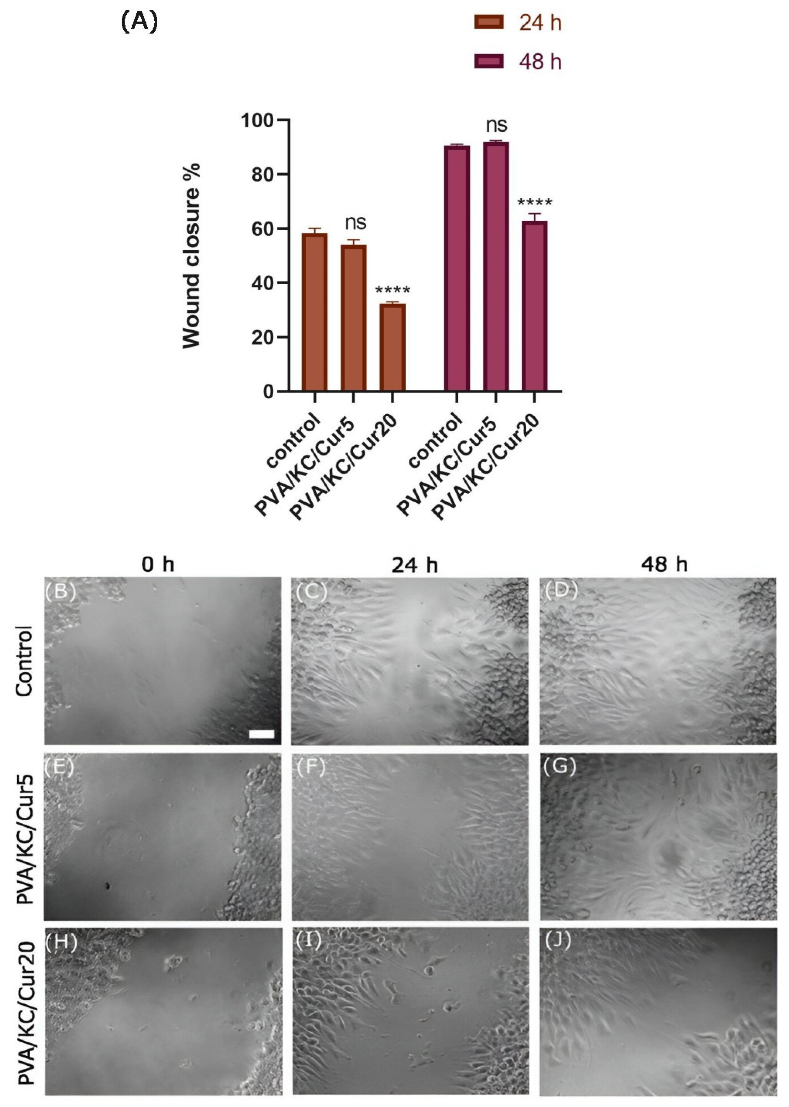 Nanomaterials 15 00388 g006