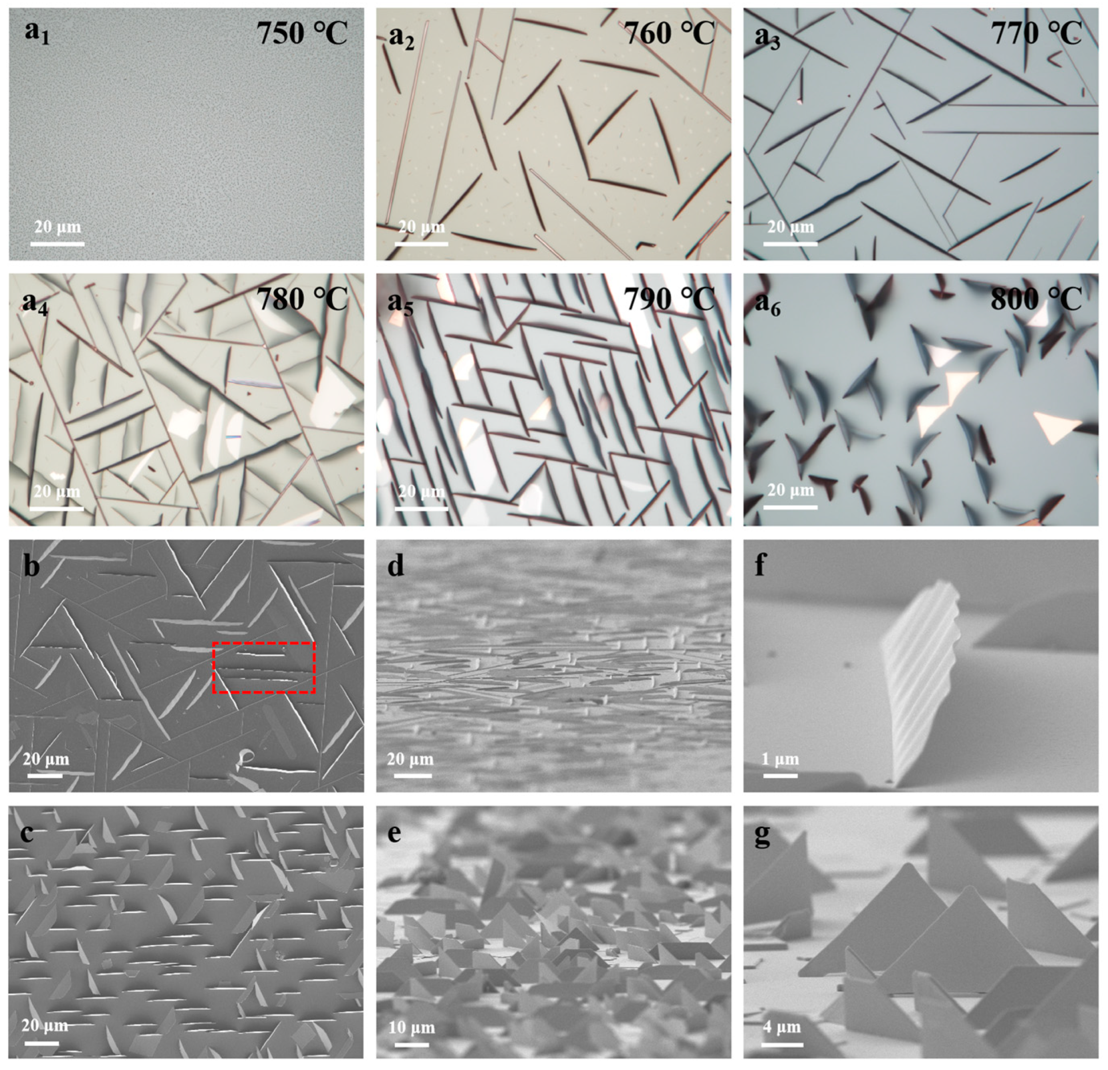 Nanomaterials 15 00392 g001
