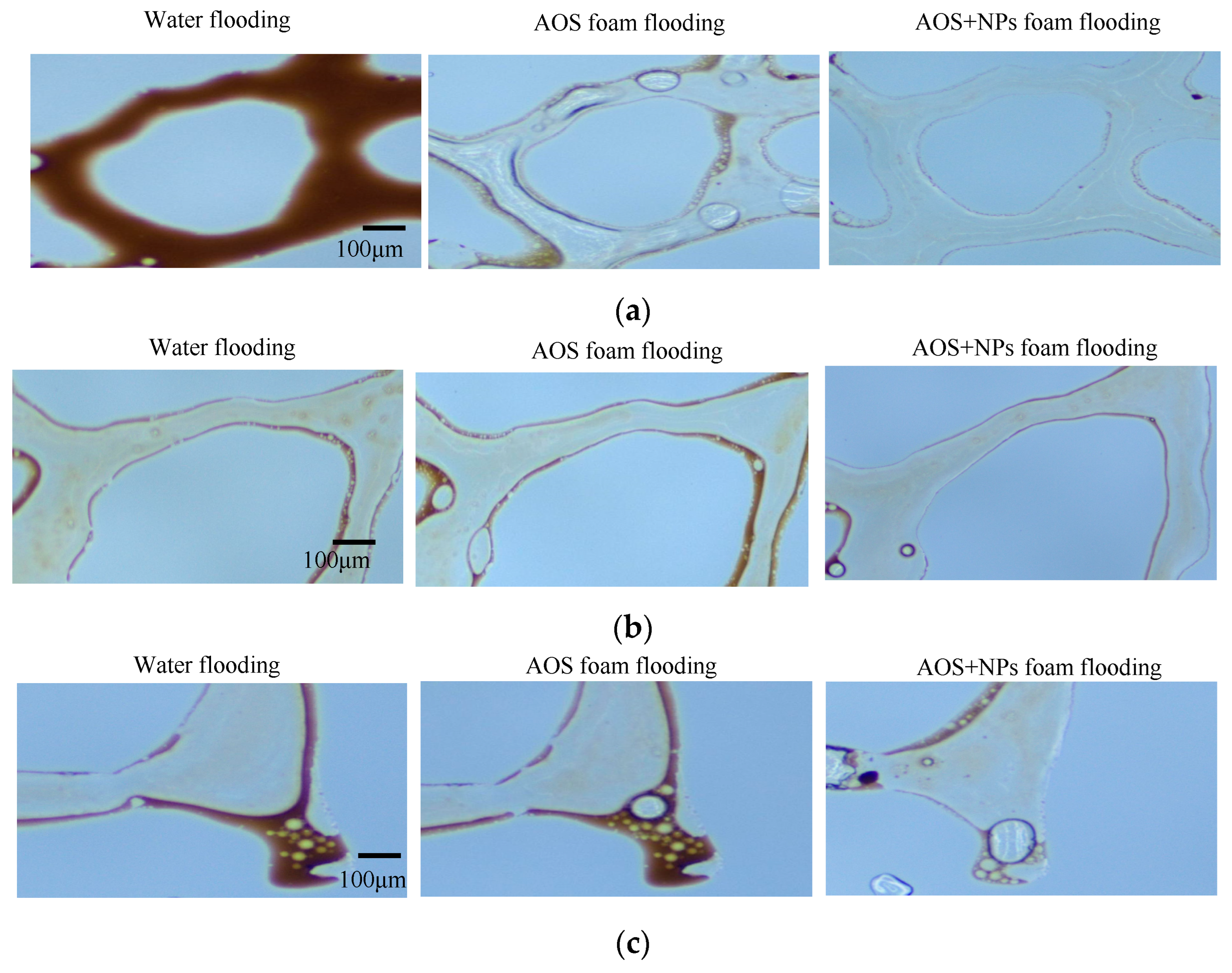 Nanomaterials 15 00395 g012