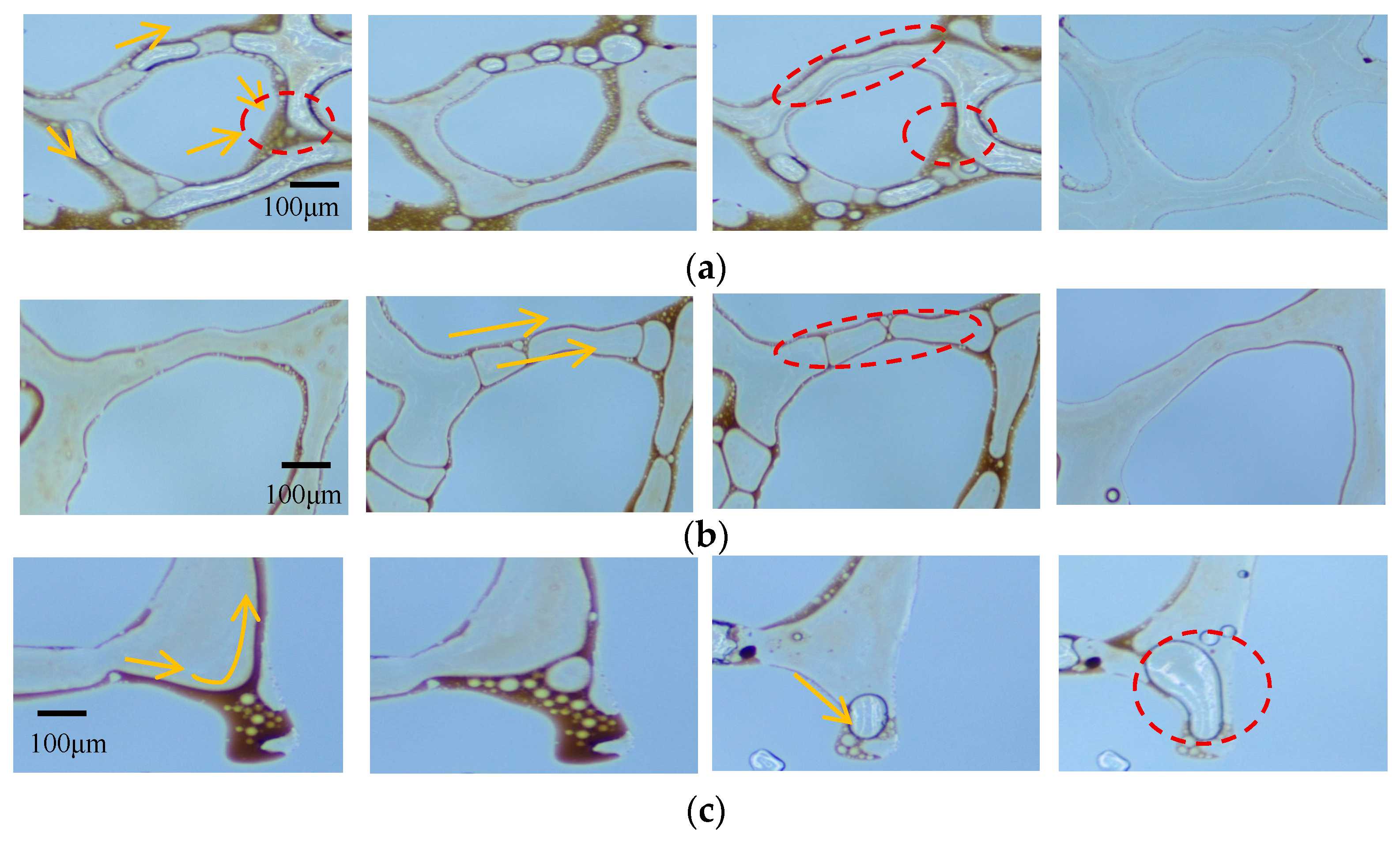 Nanomaterials 15 00395 g014