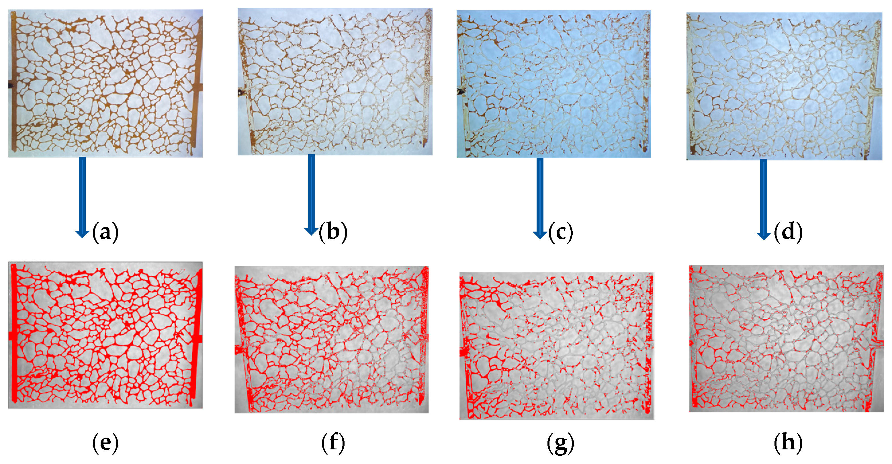 Nanomaterials 15 00395 g015