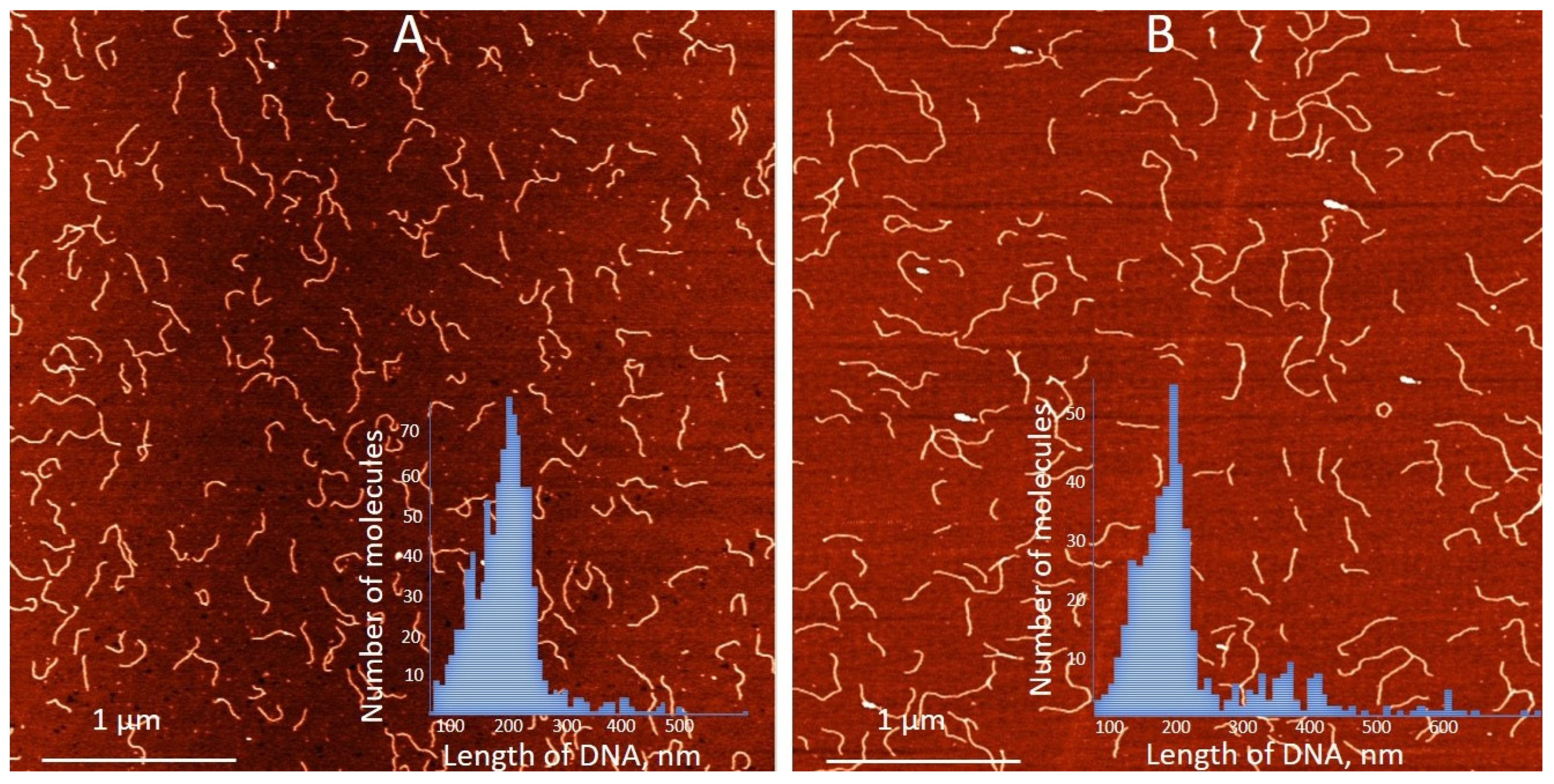 Nanomaterials 15 00397 g003 Nanomaterials 15 00397 g003