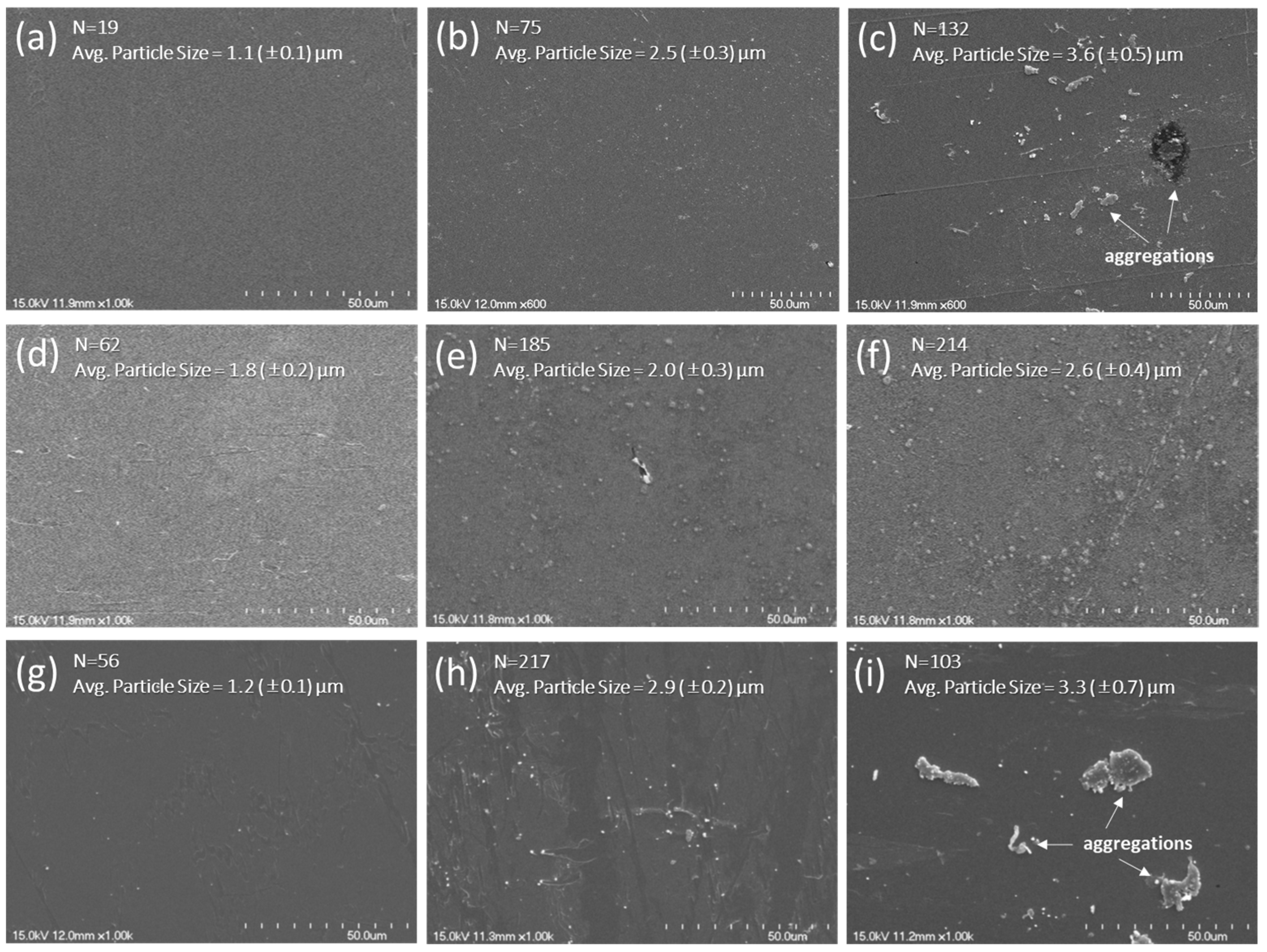 Nanomaterials 15 00403 g002