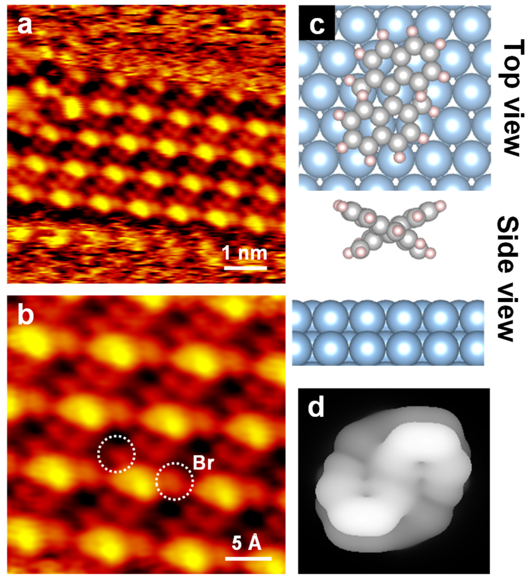 Nanomaterials 15 00407 g003