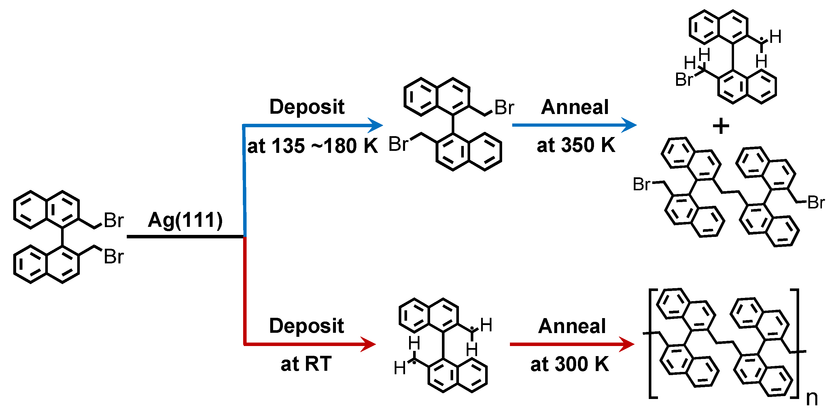 Nanomaterials 15 00407 sch001