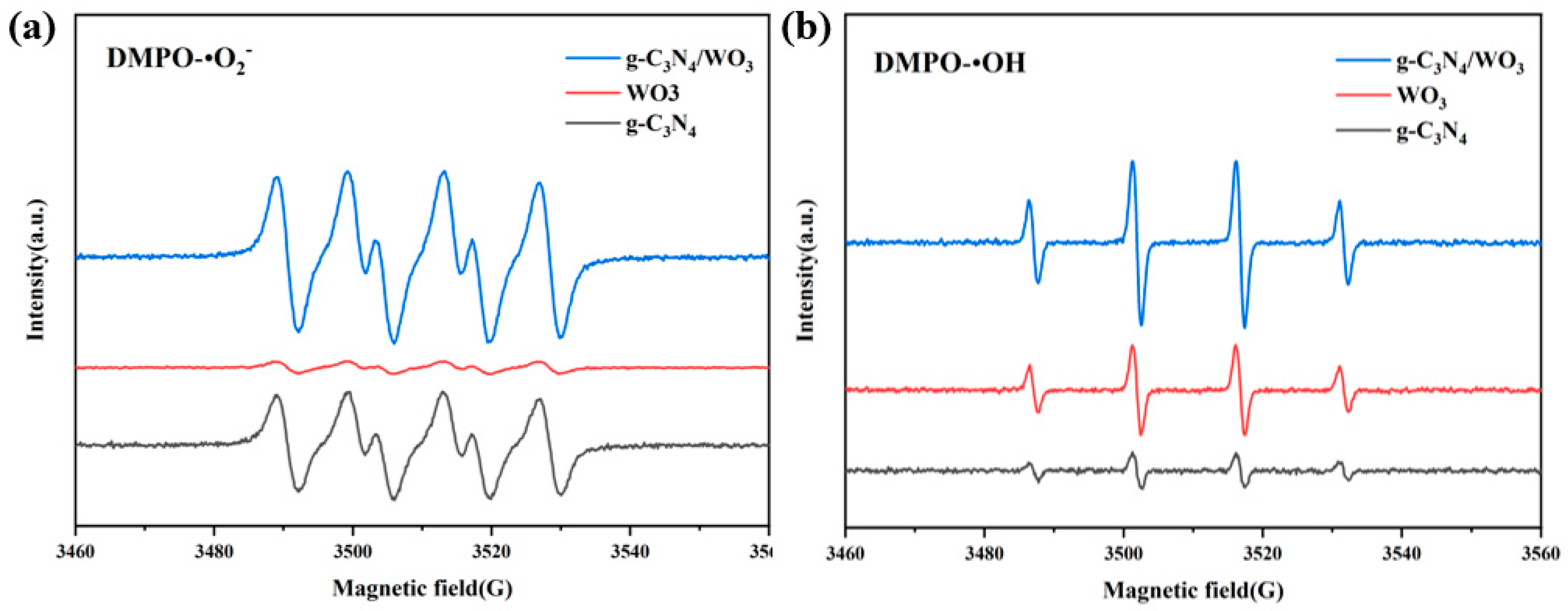 Nanomaterials 15 00410 g010