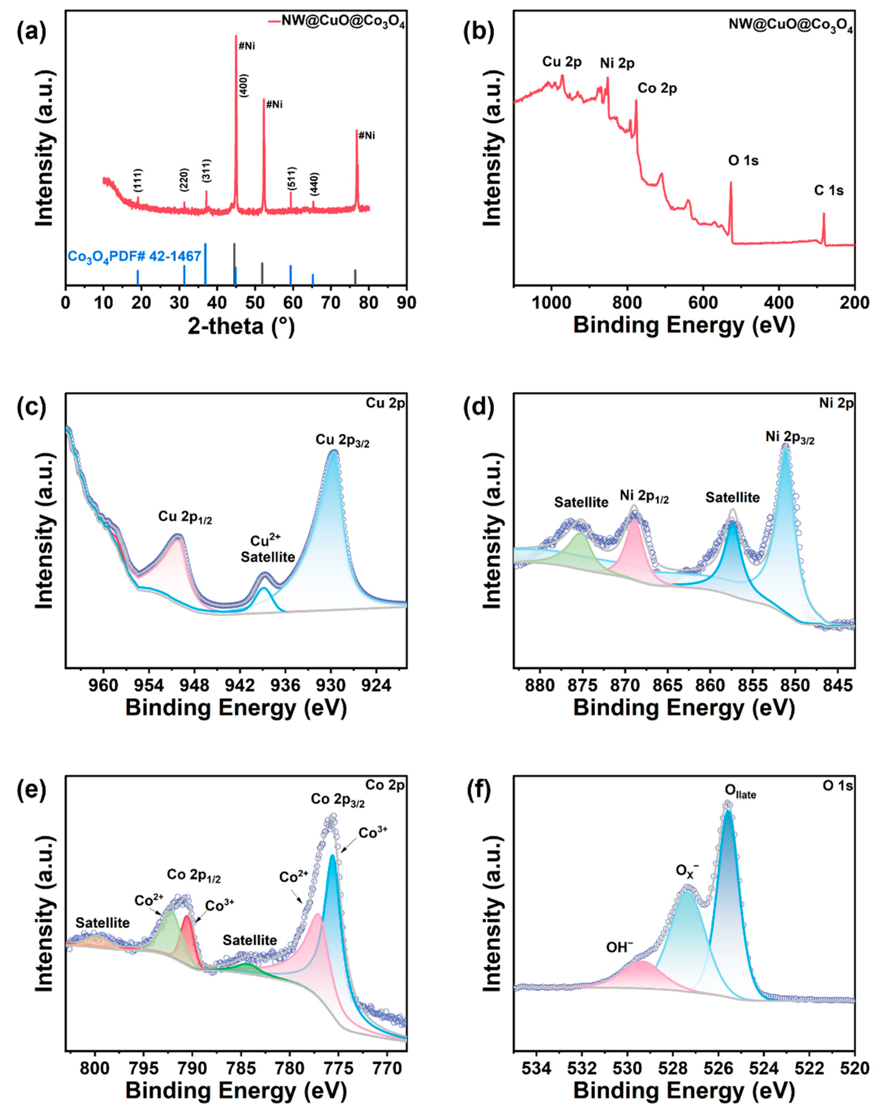 Nanomaterials 15 00411 g001