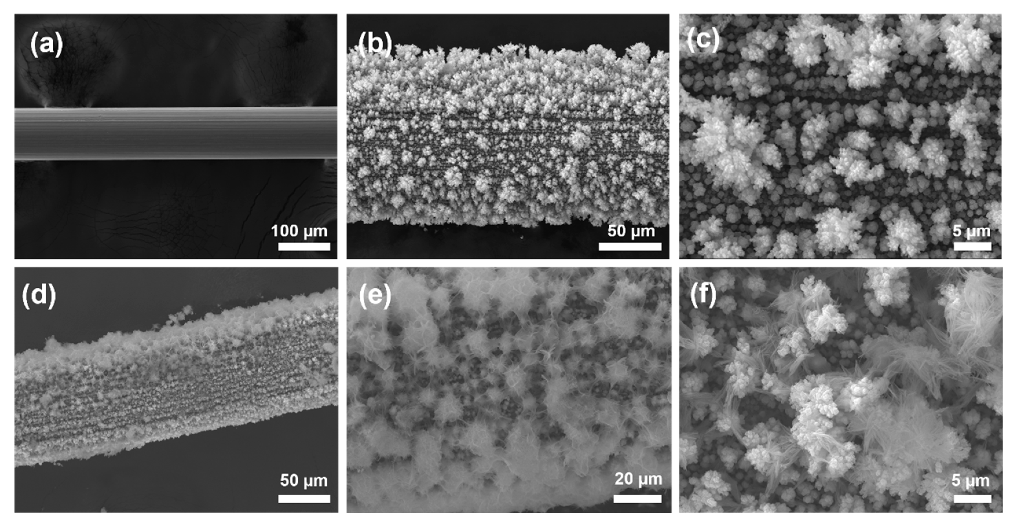Nanomaterials 15 00411 g002
